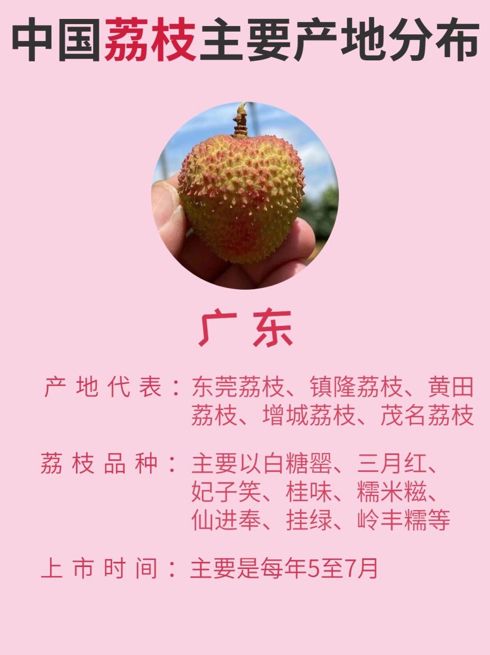 广东荔枝品种主要以白糖罂,三月红,妃子笑,桂味,糯米糍,仙进奉,挂绿