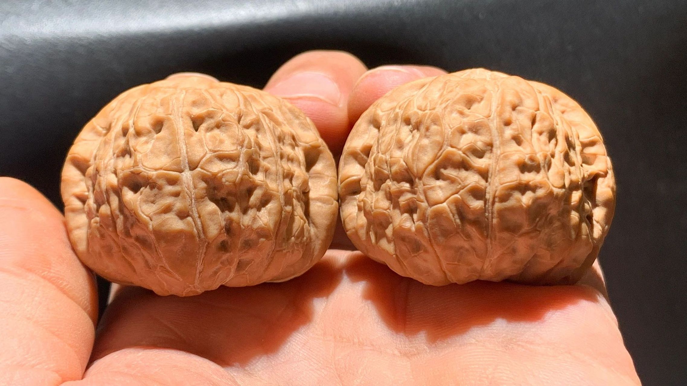 以底命名的文玩核桃:南瓜墩99性感肥美!