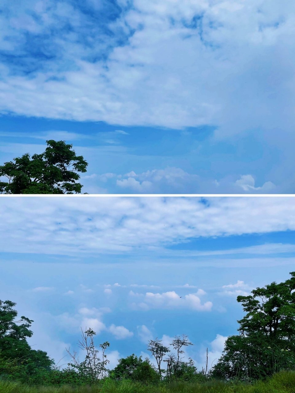 每周一山|成都赵公山 一座修狗都能登顶的山 7215赵公山 青城山