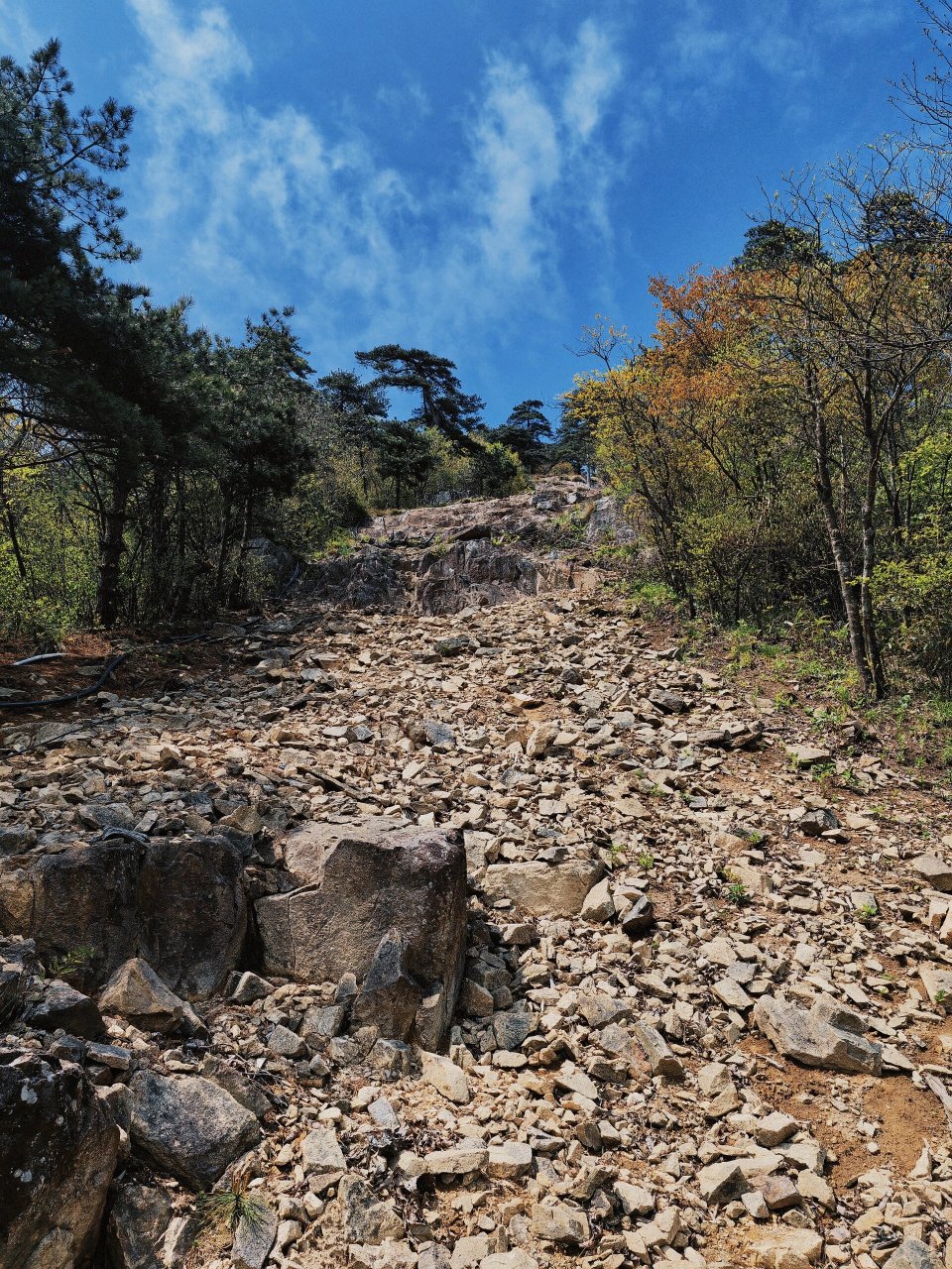 南北湖山多高图片