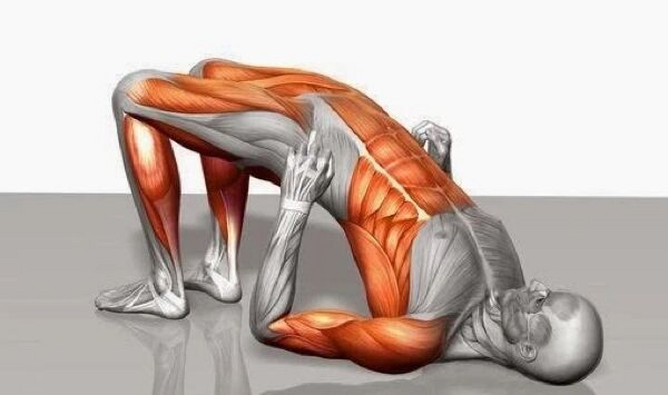 误区解析:五点支撑你还在用头顶吗?