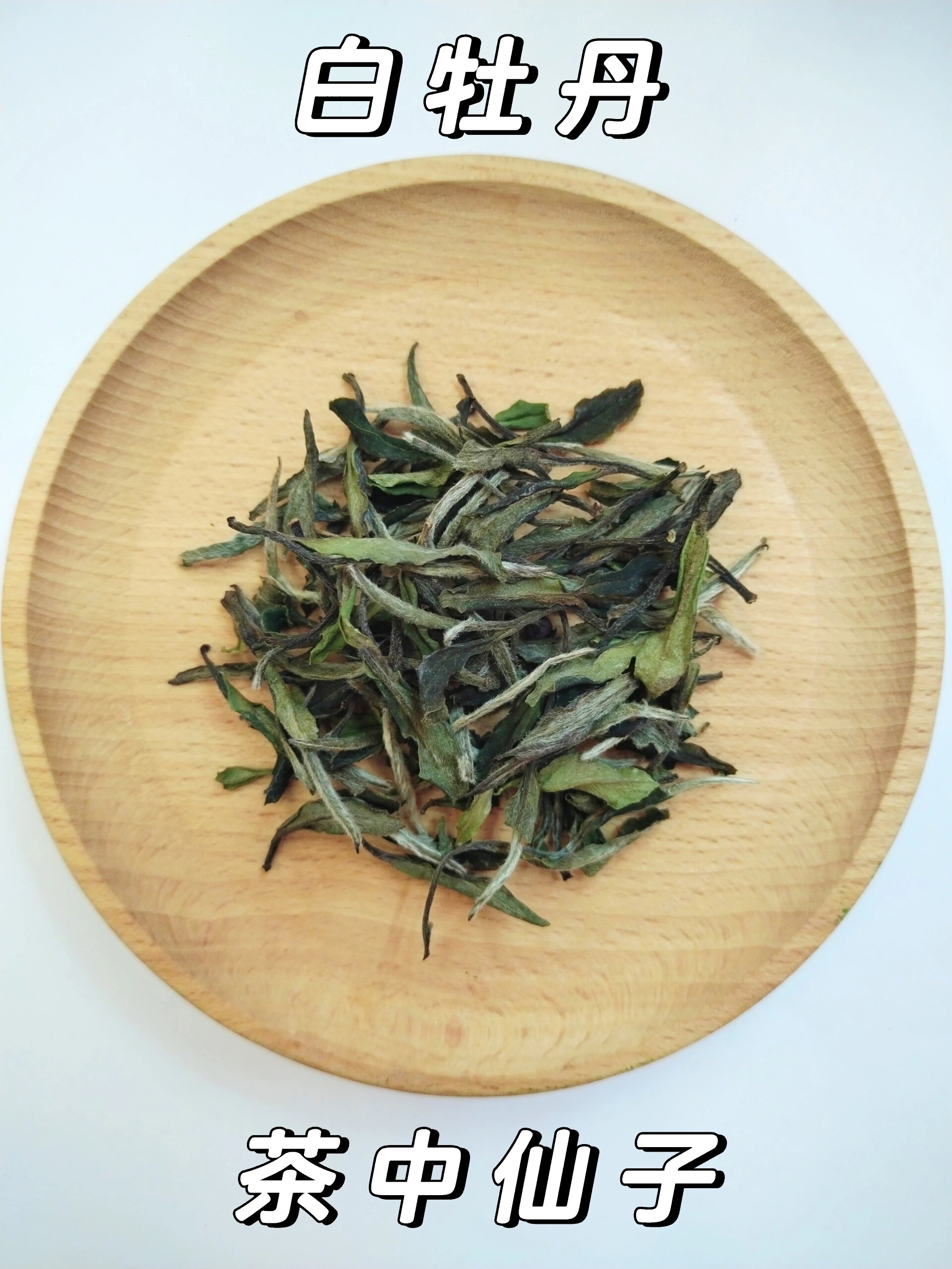 四大白茶 是指白毫银针,白牡丹,寿眉和贡眉这四种最为著名的白茶品种