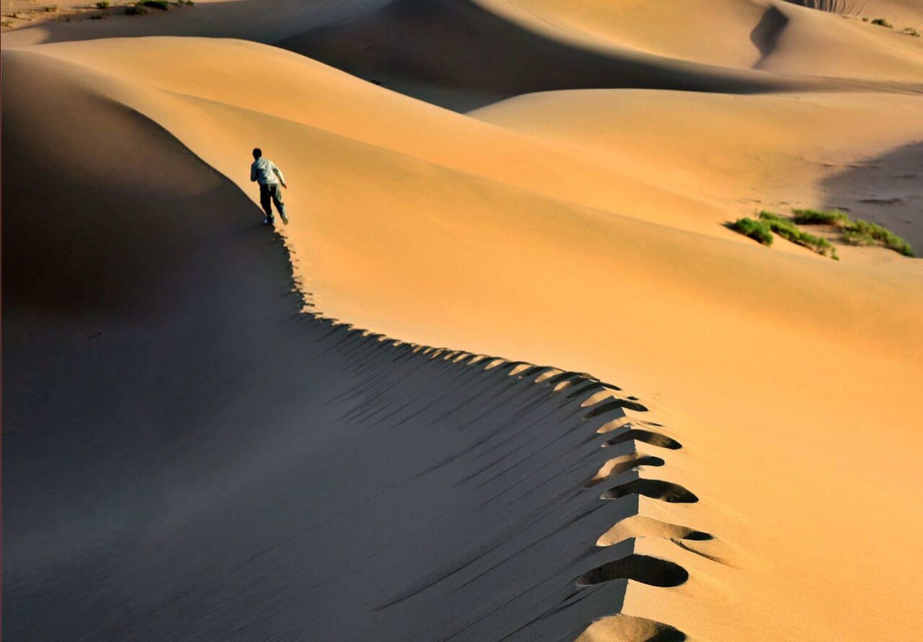 锡林郭勒盟的浑善达克沙地是国内十大沙漠沙地之一,距离北京仅有180