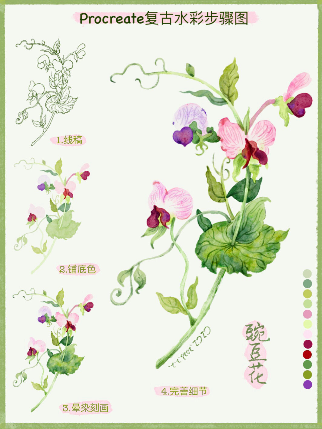ipad水彩|豌豆花的分解画法 💖今天分享用procreate 怎么画复古水彩