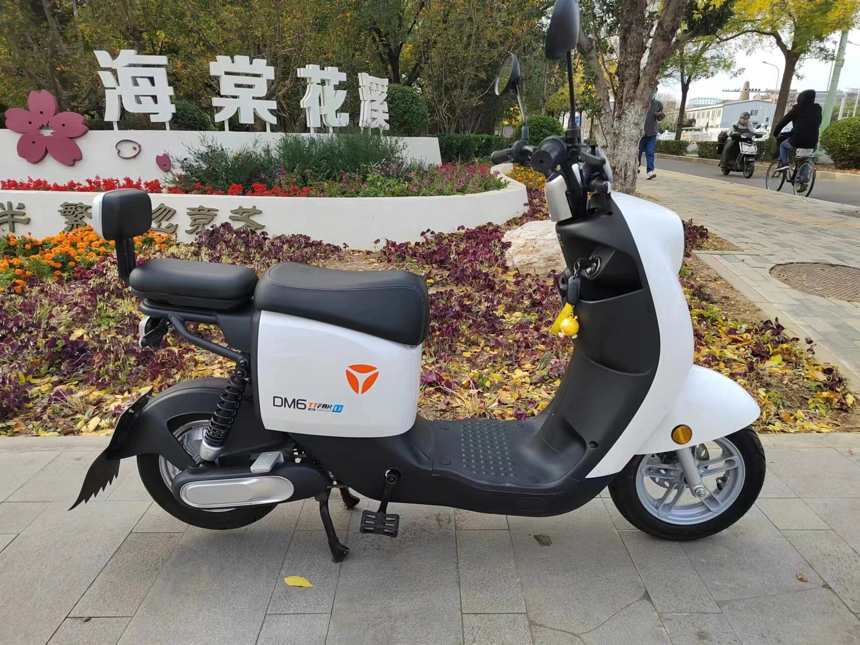 雅迪冠能二代dm6电动车,48v24a碳纤维锂电 雅迪冠能dm6电动自行车,48v