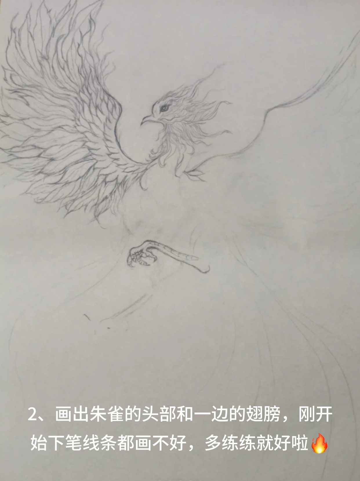 朱雀的画法铅笔画 朱雀是一种神兽