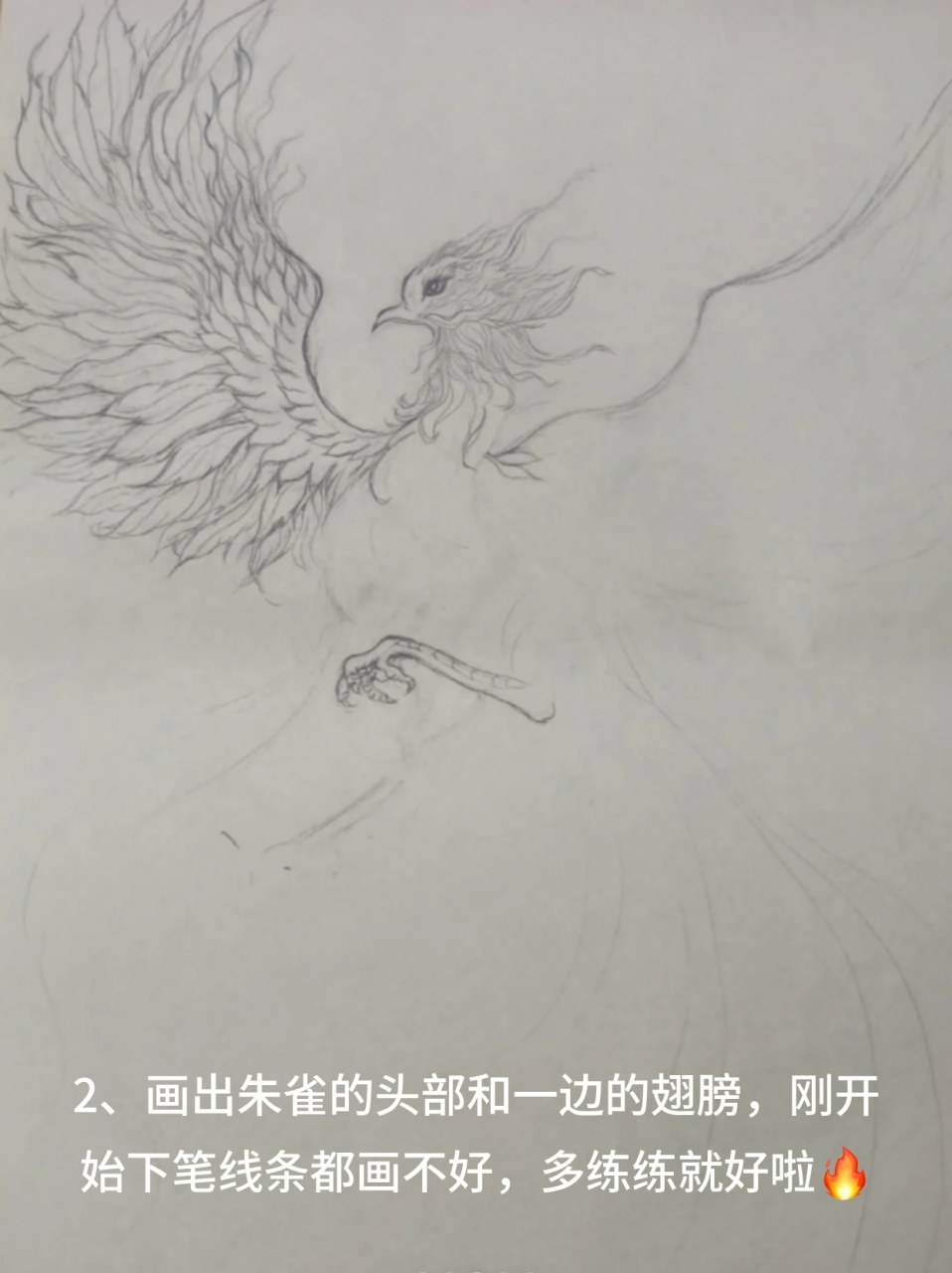 朱雀神兽素描图片