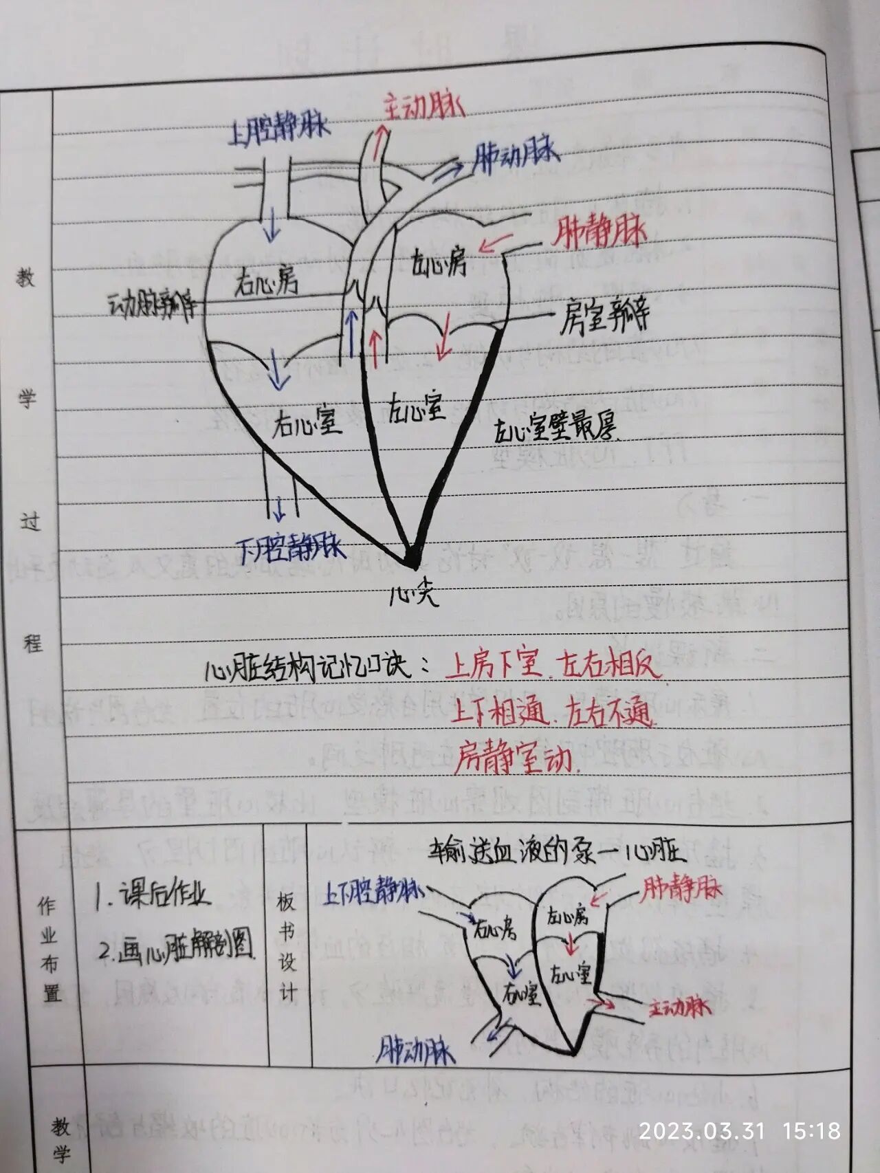 心脏思维导图七下生物图片