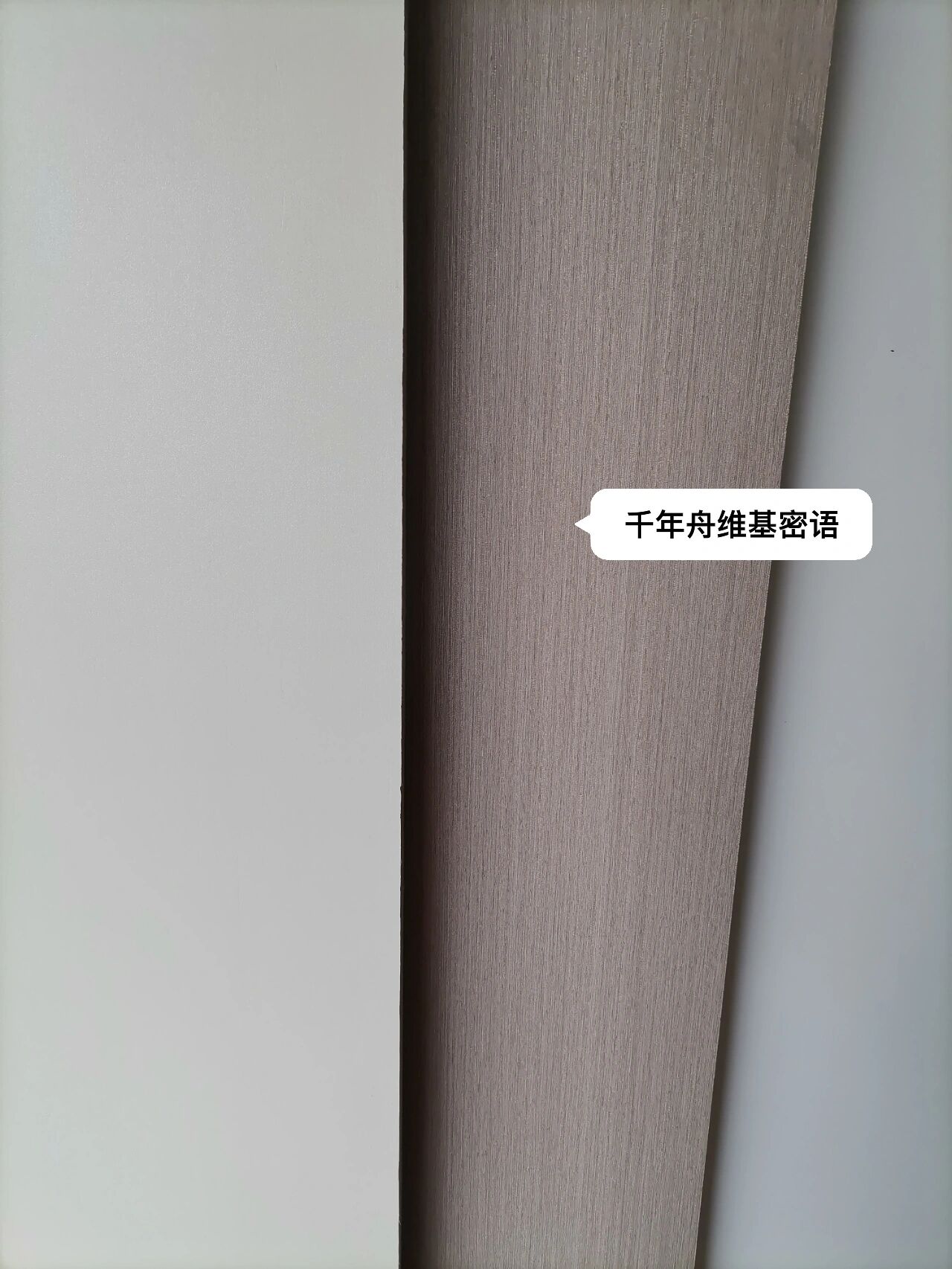 千年舟板材颜色 千年舟维基密语颜色和订的房门颜色最接近,队友说颜色