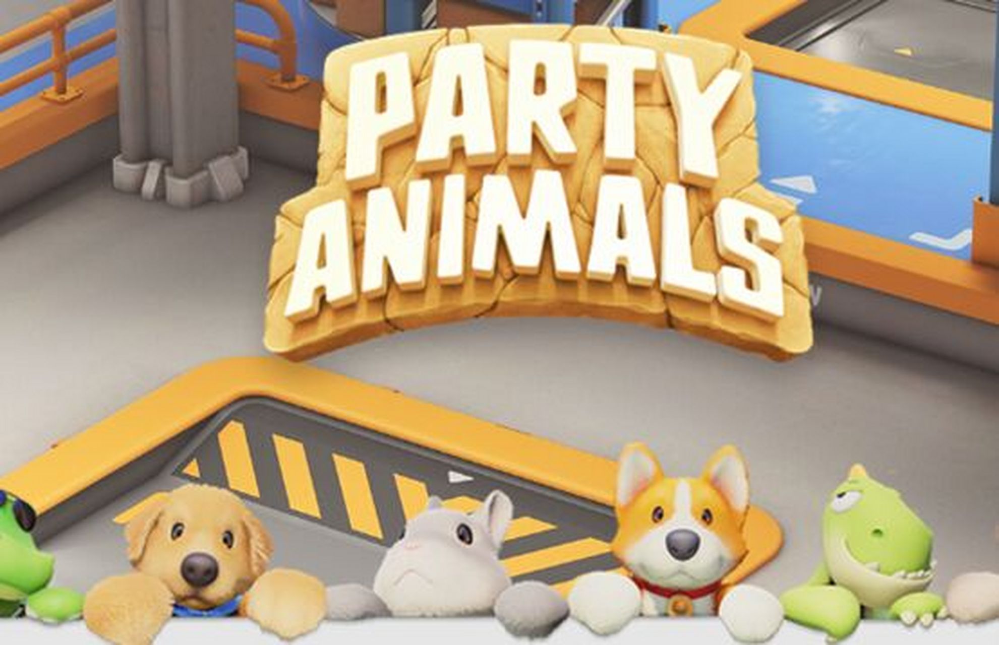 动物派对价格是多少?