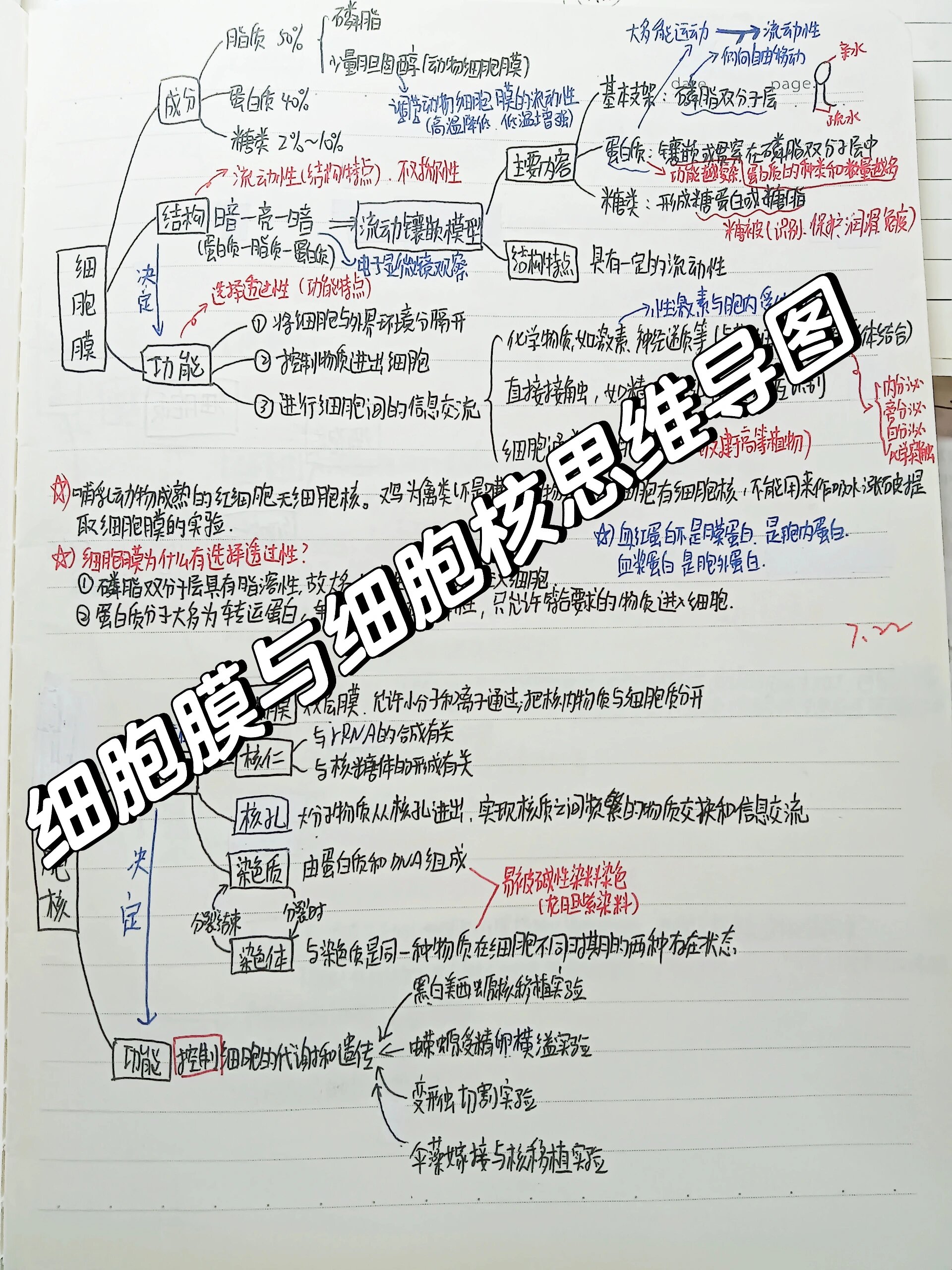 细胞膜与细胞核思维导图,高三一轮复习