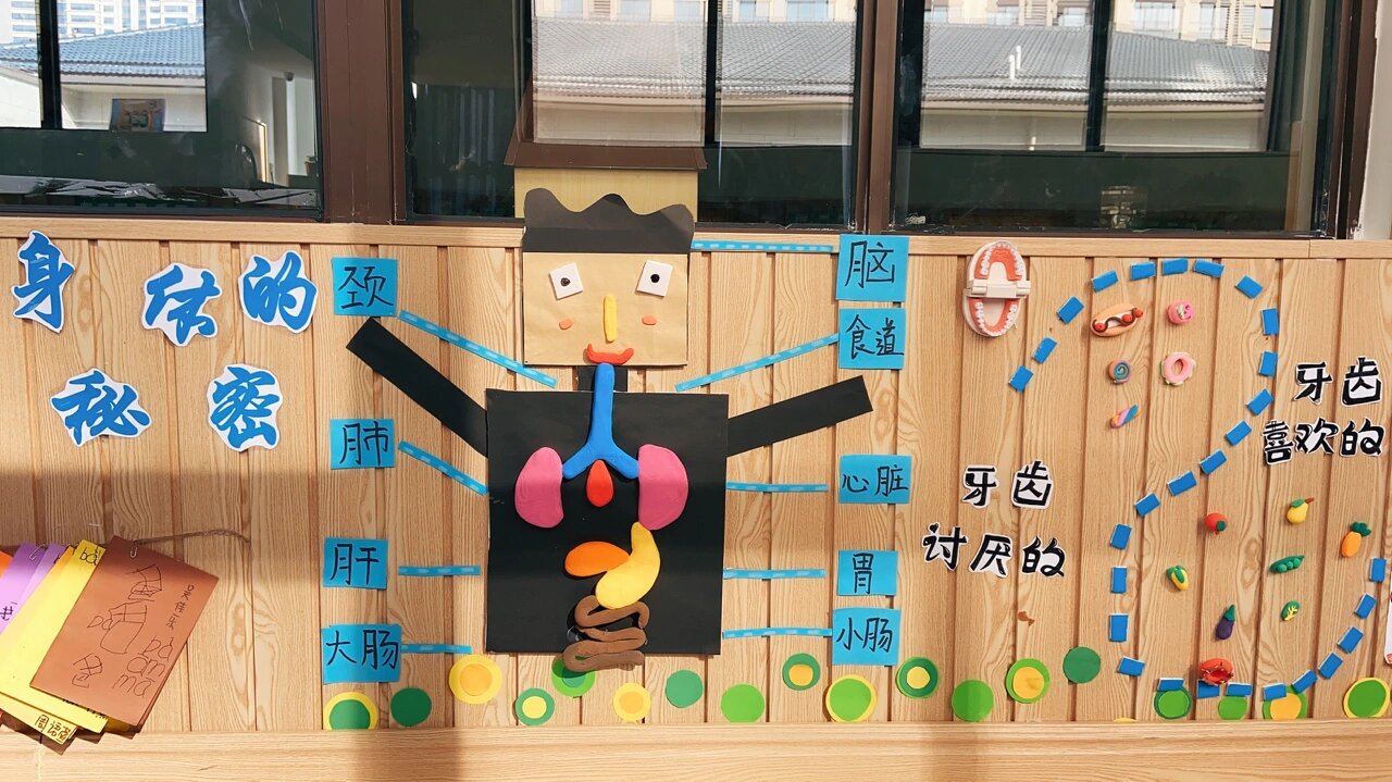 主题墙《生命的奥秘》