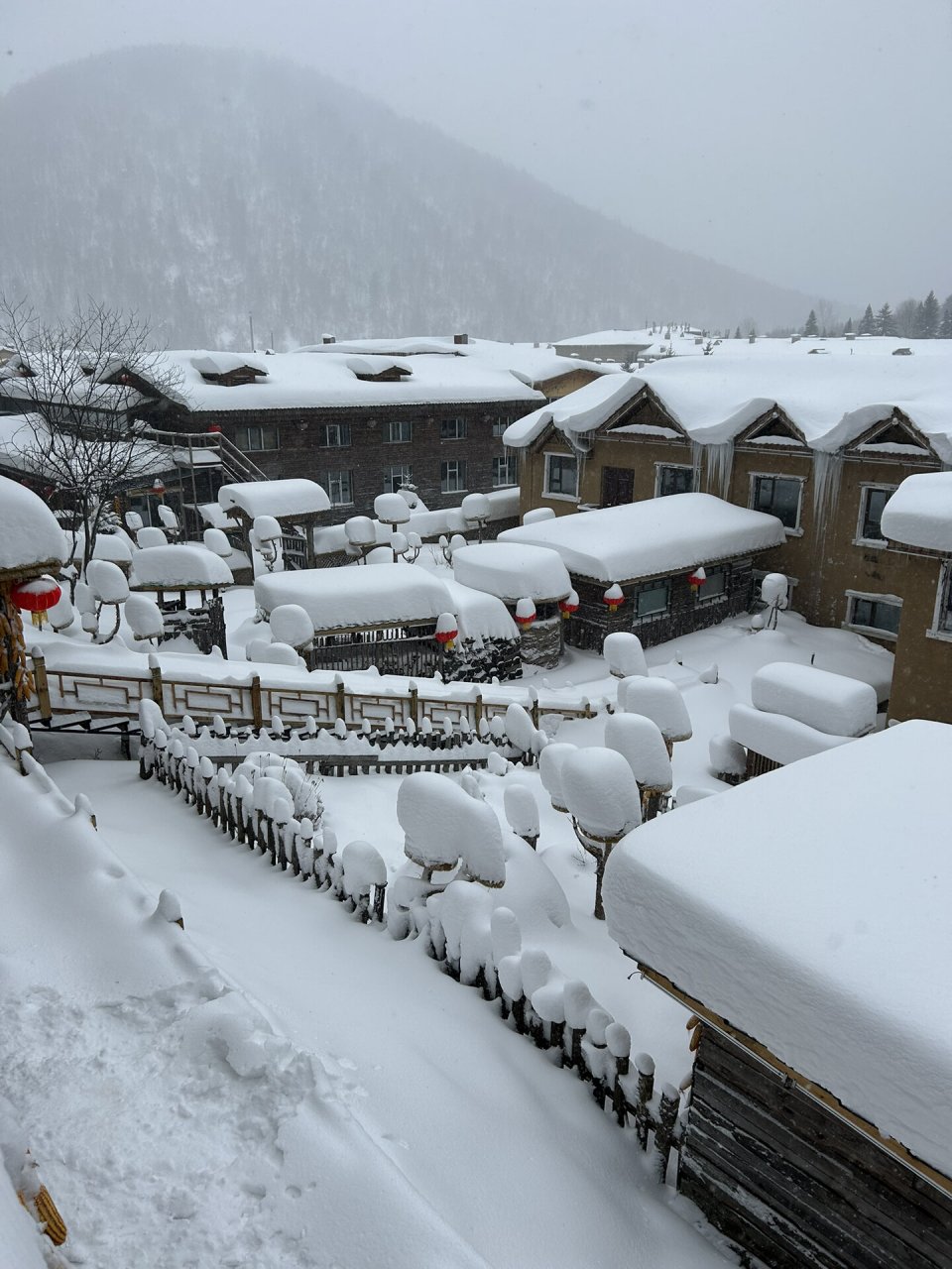 下雪农村山上图片图片