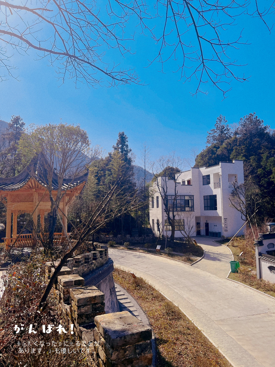 安徽仙寓山风景区旅游体验   99门票:70/人,山下有专门收费的地方缴