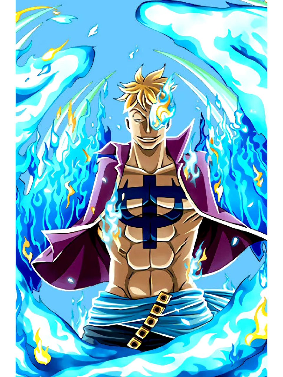 海贼王-不死鸟马尔科