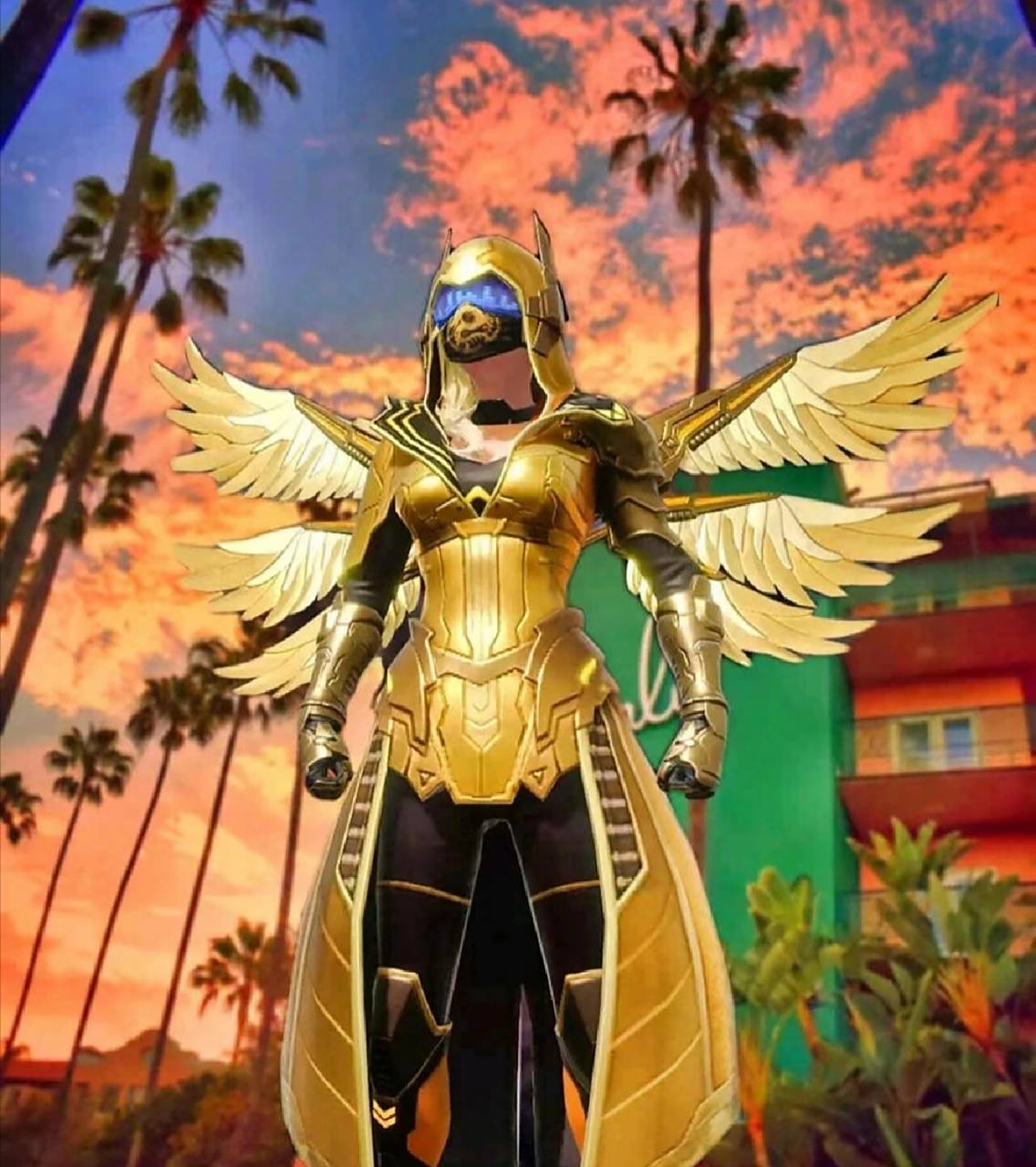 赤羽金尊壁纸 赤羽金尊壁纸!