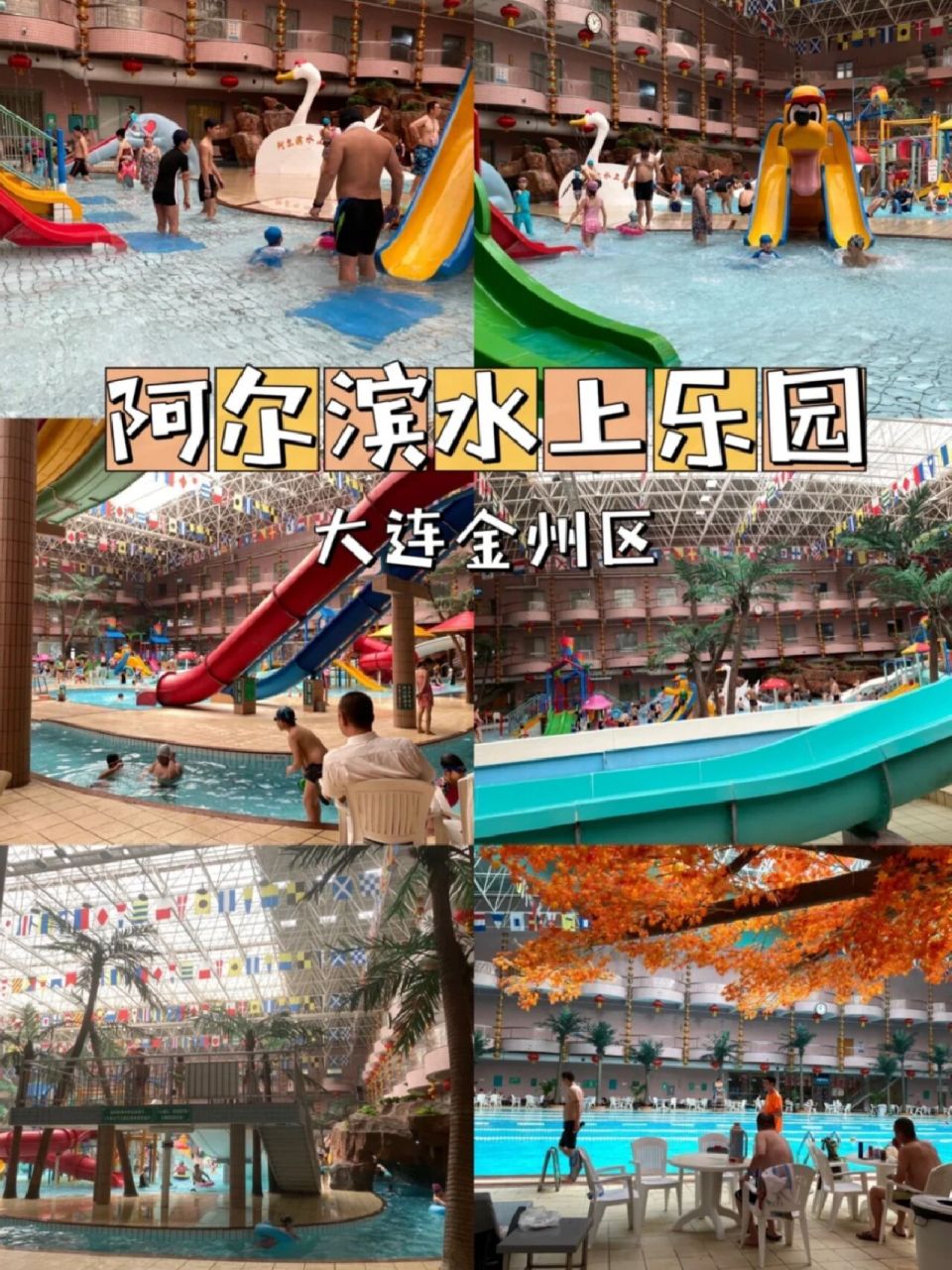 大连金州阿尔滨 亲子游乐园 游泳爱好者喜欢玩水健身的朋友注意啦!
