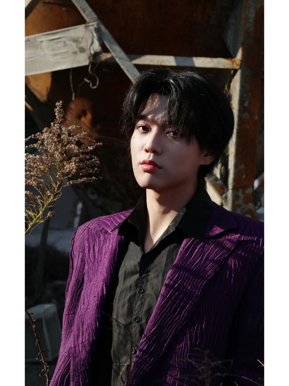 【某幻】这不纯纯的帅哥穿西装吗 紫西装某幻更新啦