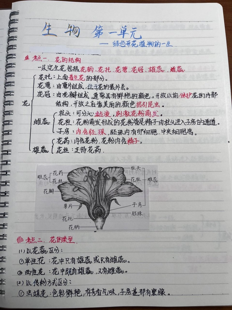 第一单元 绿色开花植物的一生(1) 图文感谢《衡水中学状元笔记》94