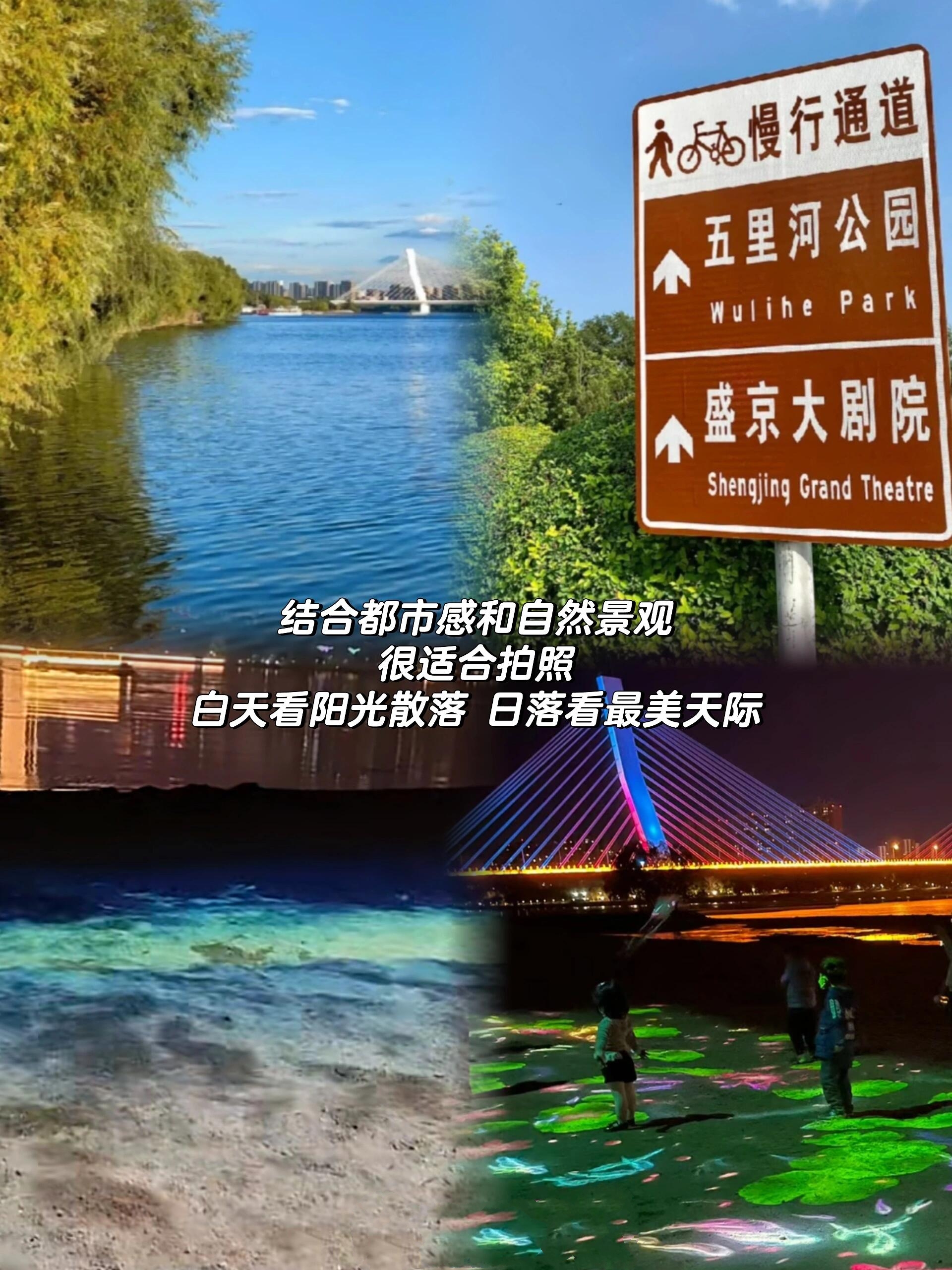 沈阳周末|值得踏春游玩的9个免费公园7415