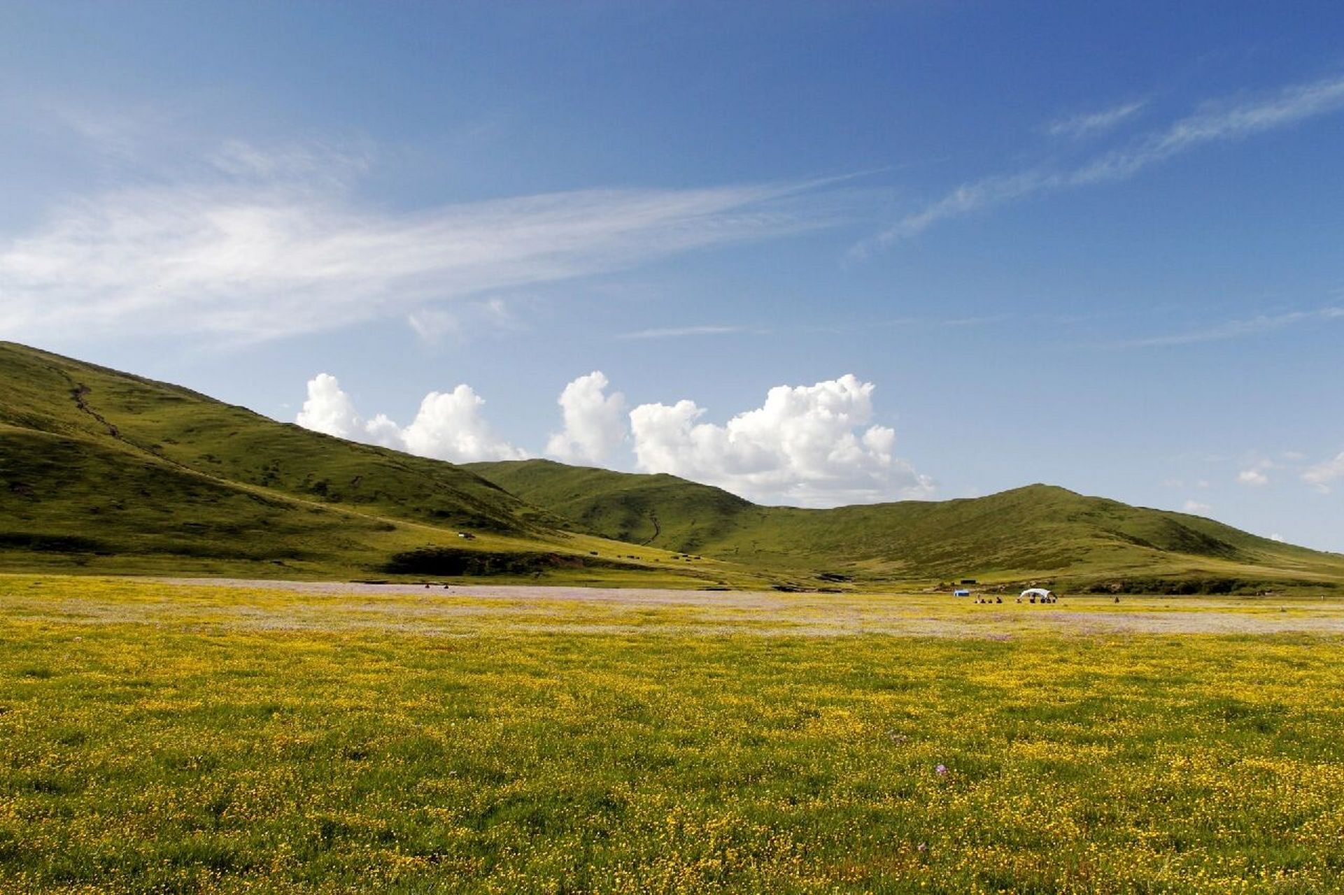 2022年四川草原花海|俄么塘旅游路线攻略 9696不要让生活耗尽了