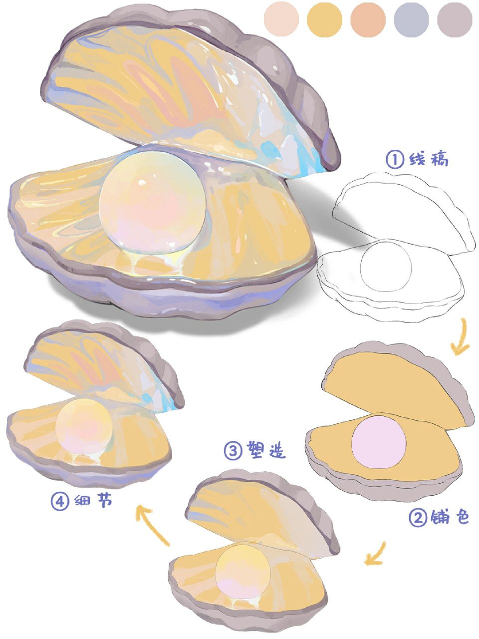 贝壳画法‖小物件插画教程 今天来画贝壳~工具0015:procreate77