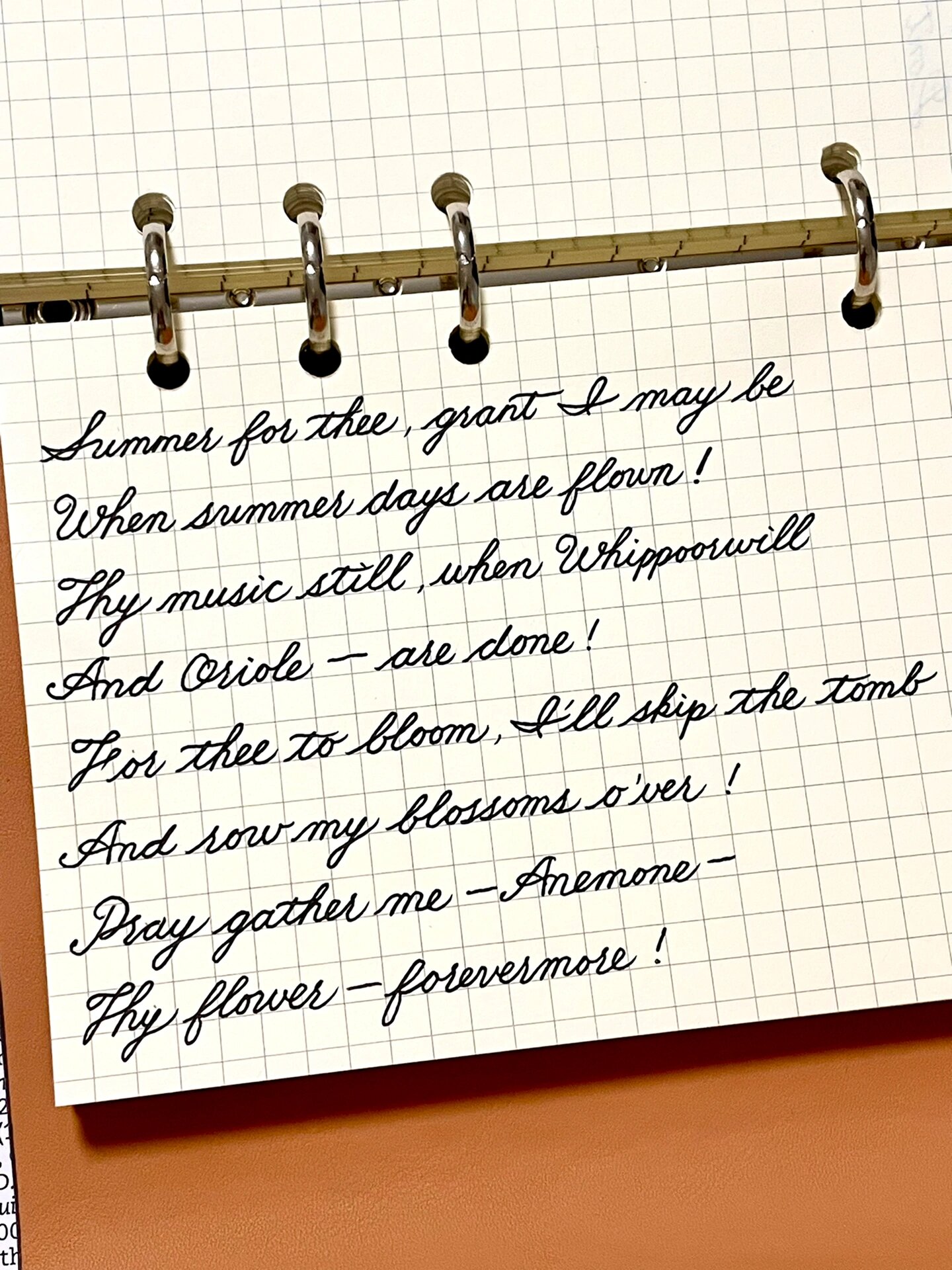 手写英文诗|艾米莉·狄金森的经典情诗一首7878