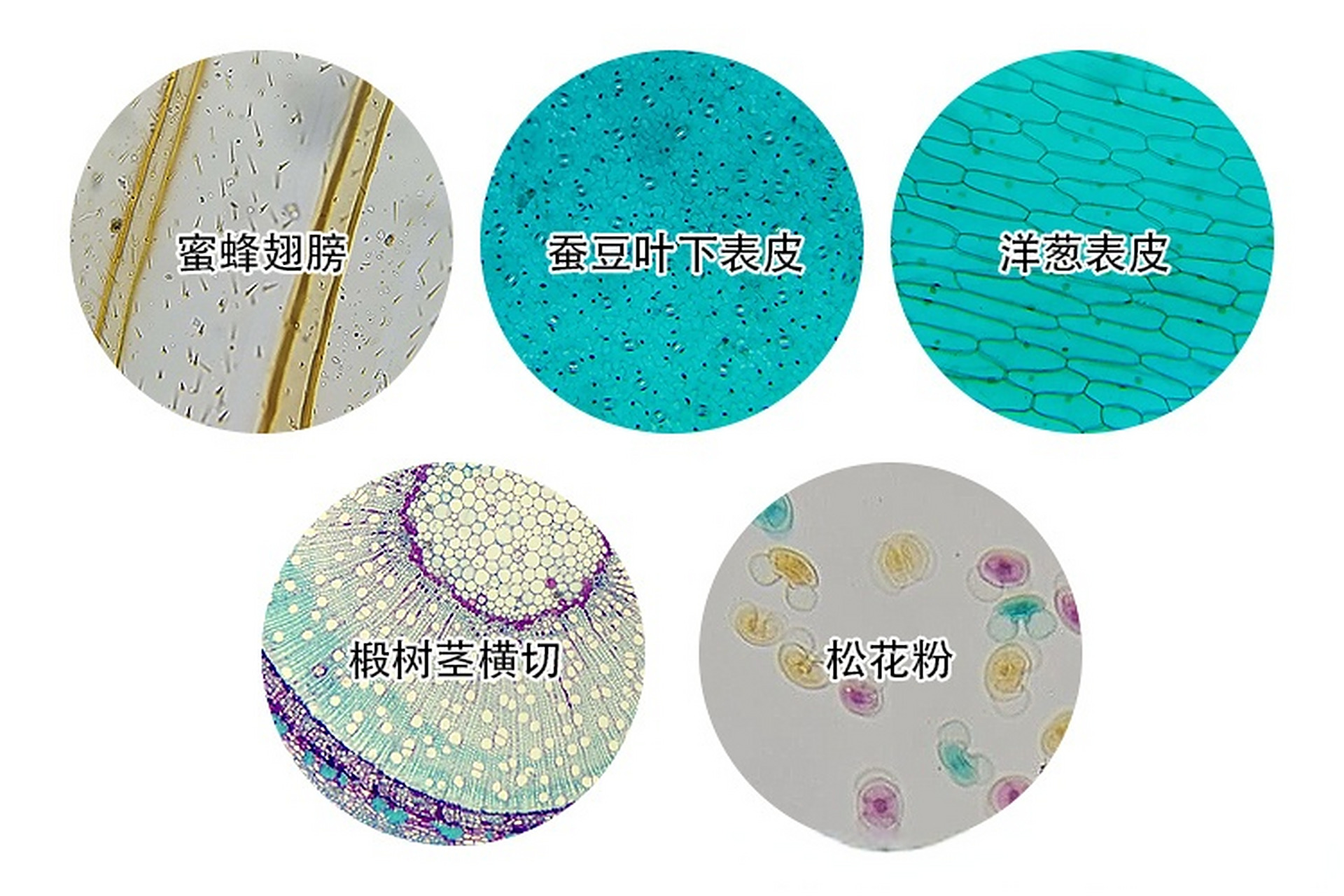 对事物,对人都该如此