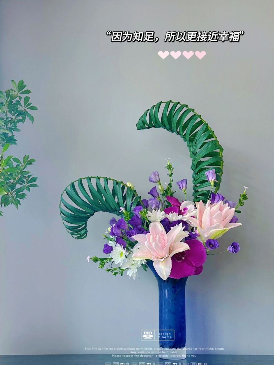 老公说我插了一个"牛气冲天"的插花0909 散尾葵叶子太好玩儿了,编