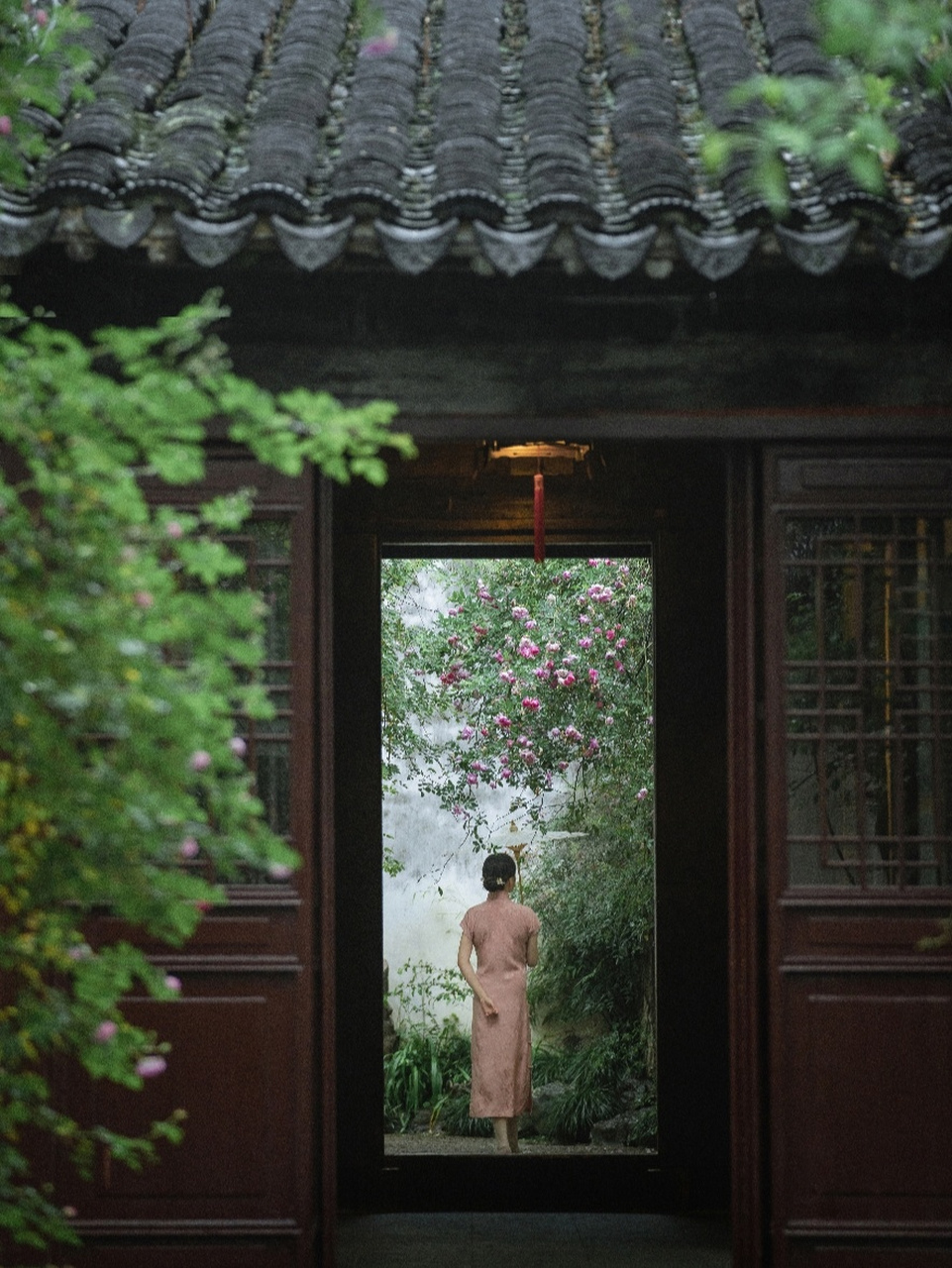 极爱的旗袍背影系列 花底相看无一语,绿窗春与天俱莫.