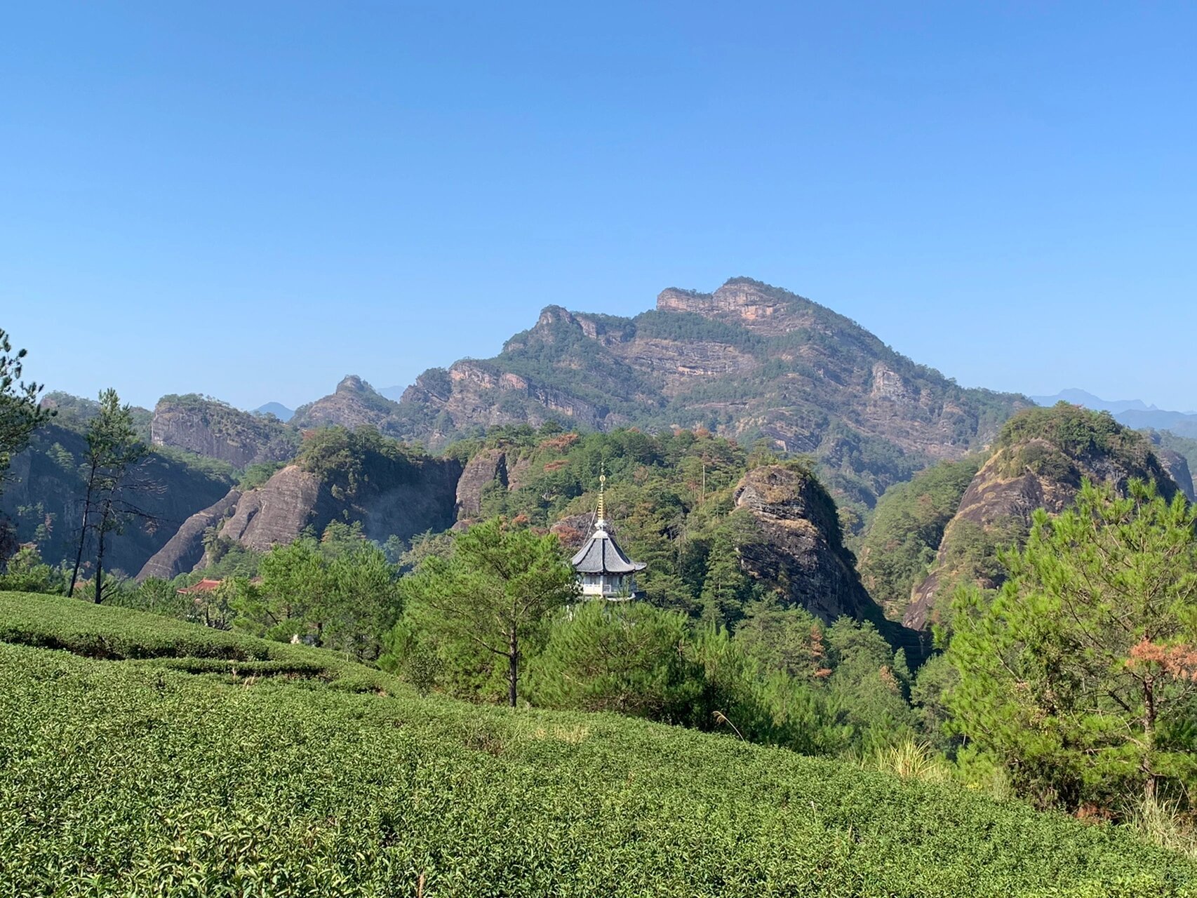 武夷岩茶山场———天心岩 天心岩: 	 天心岩因天心永乐禅寺而著名