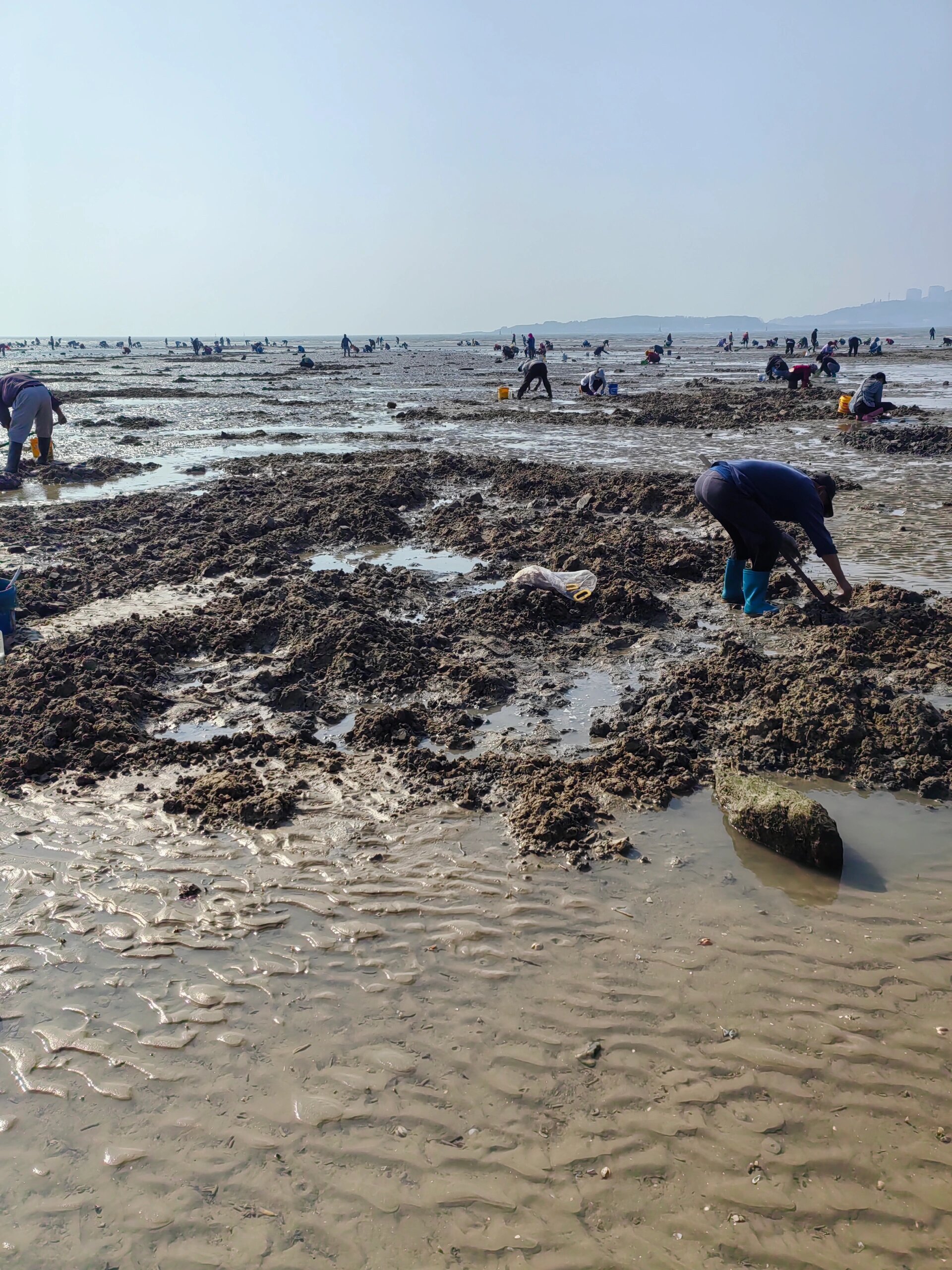 分享一下唐岛湾赶海圣地