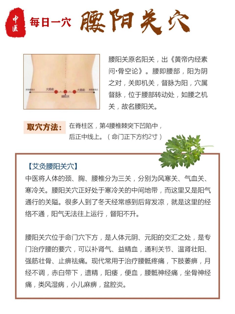 腰阳关疼是什么原因图片