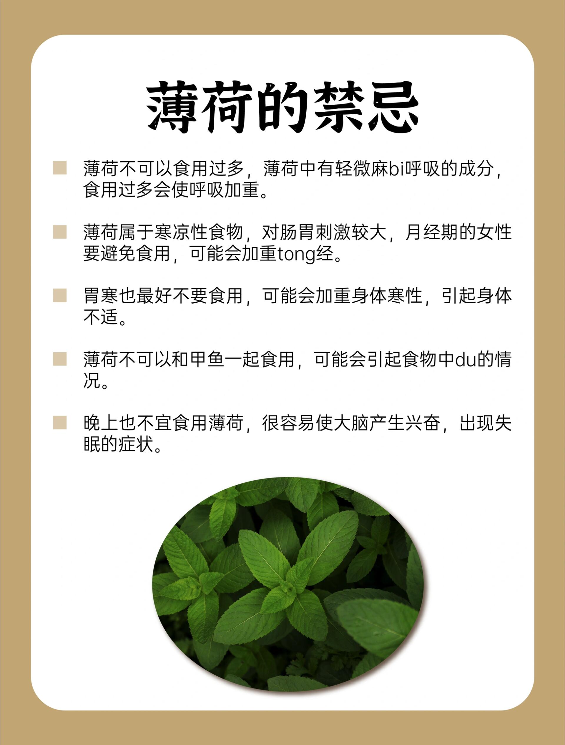 薄荷菜 食用方法图片