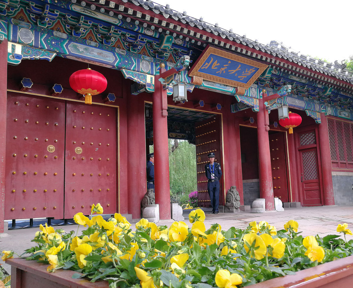 原来,这位男生在北大期间发现了自己对专业的真正热爱并不在此