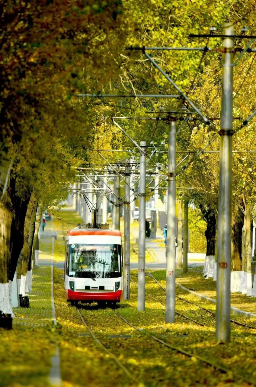 沉浸吉林#  长春公交54路有轨电车是承载着几代长春人记忆的交通工具