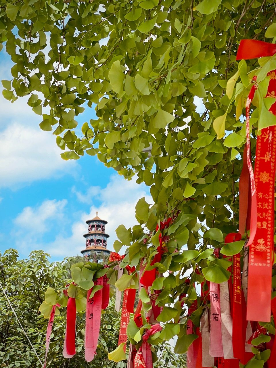 贵州都匀九龙寺图片