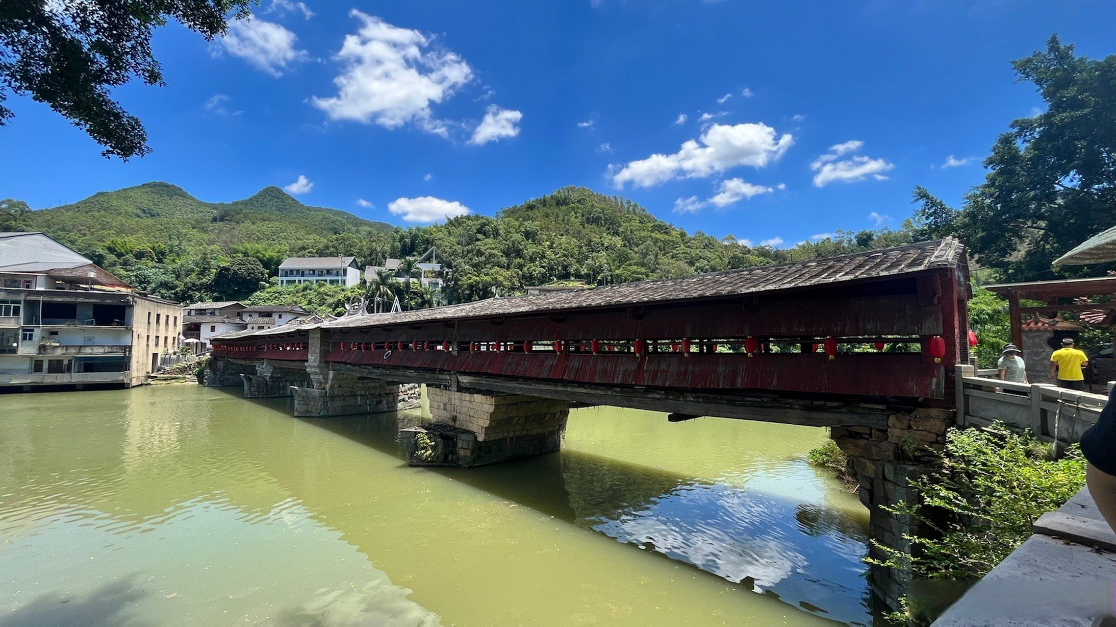 看福建品风度永春#东关桥,湿地公园,华侨茶厂……东关镇里的一切都在