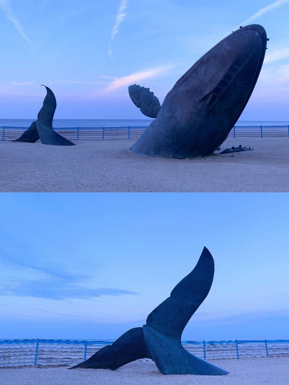 『巨鲸雕塑』搁浅岸边的孤独95画面超震撼6015 有条鲸鱼 它发声