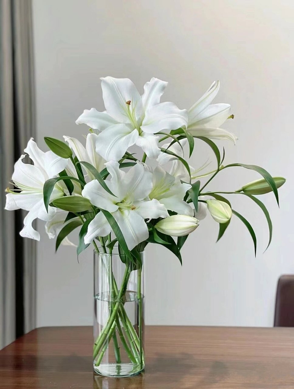 97百合花的花语是:纯洁,高雅,百年好合,庄严,花朵呈钟状,花瓣洁白而