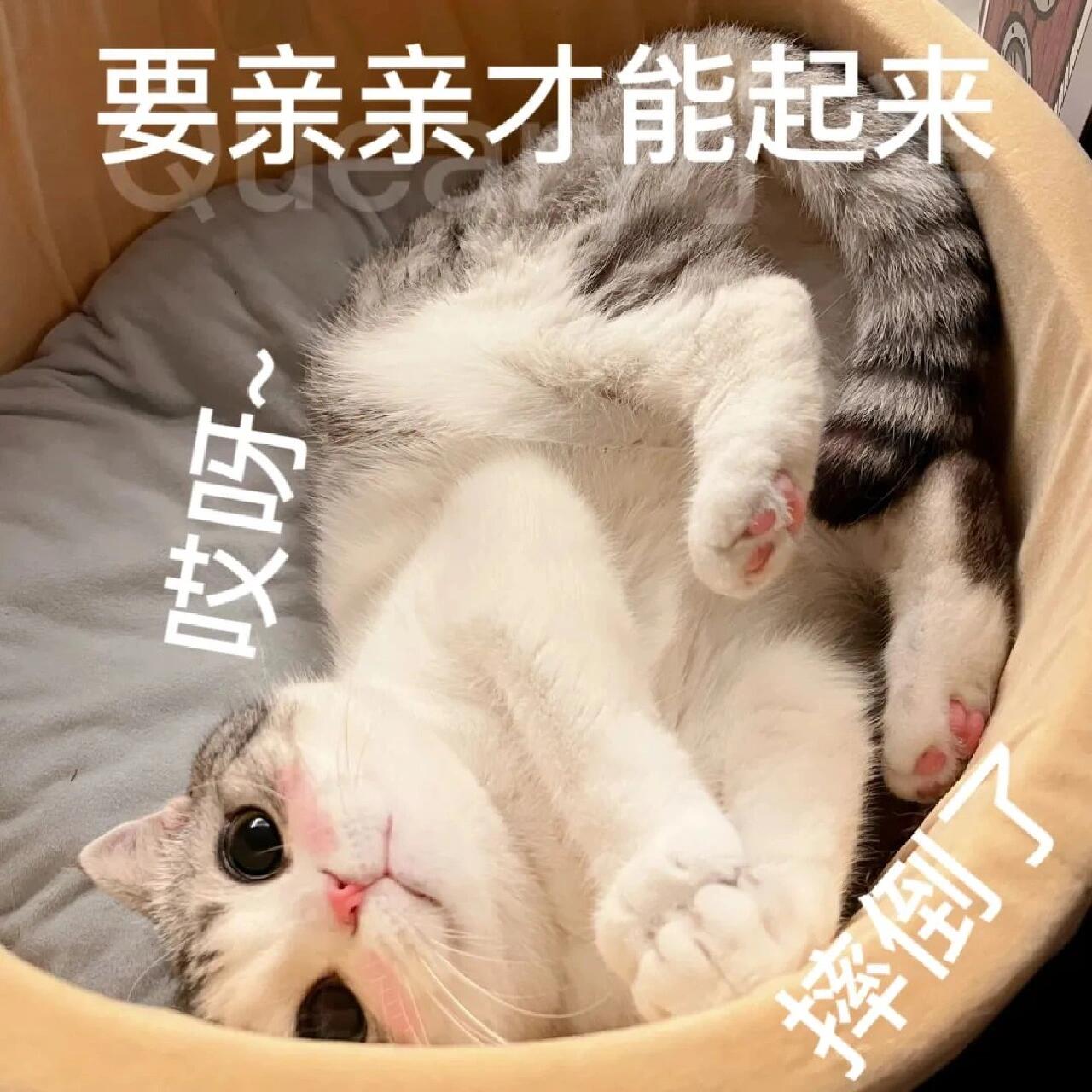 发给男朋友的可爱撒娇表情包!快用起来!