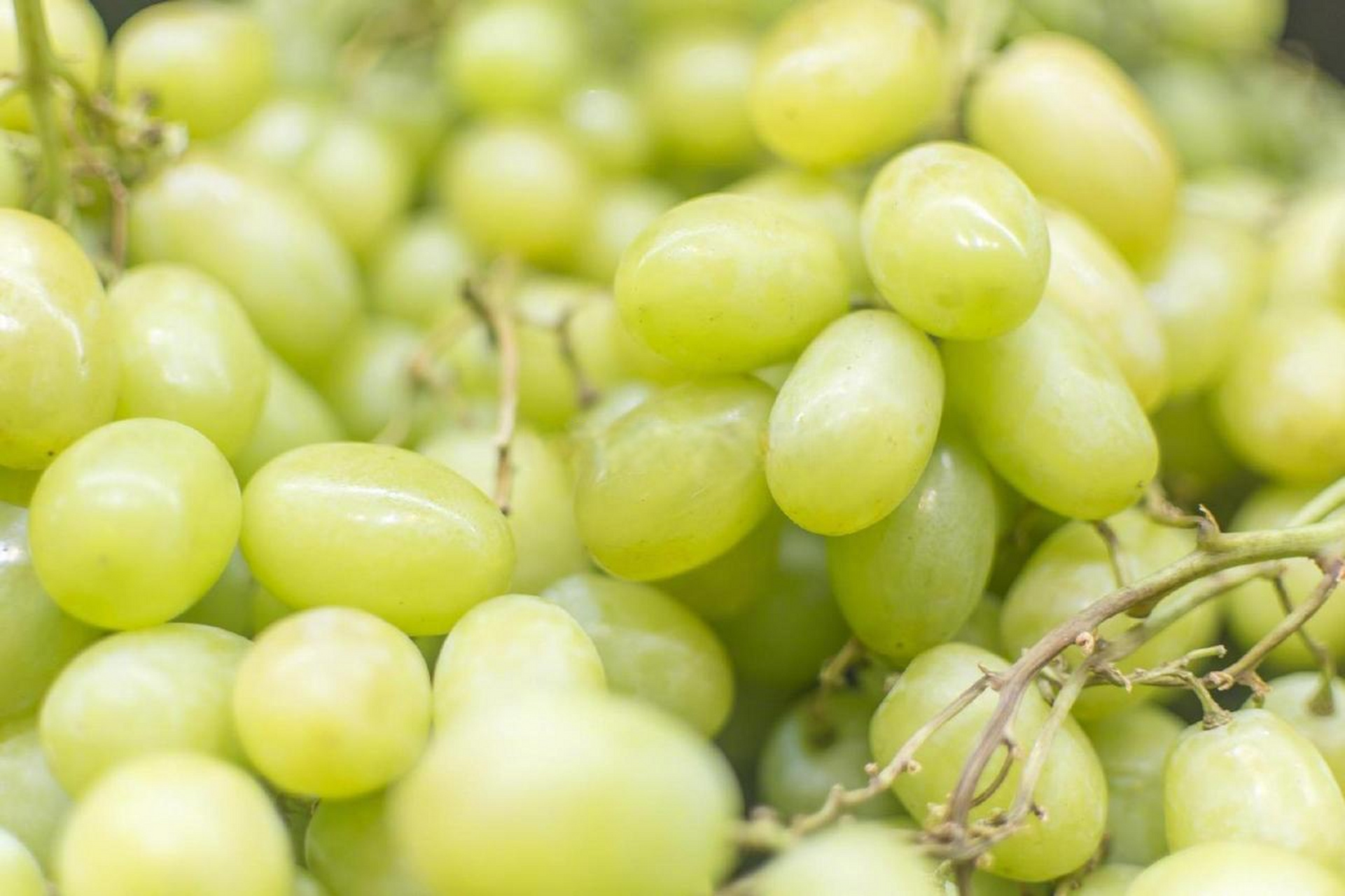 【福州进口秘鲁青提阳性,目前已全部消杀并销毁,未流入市场.