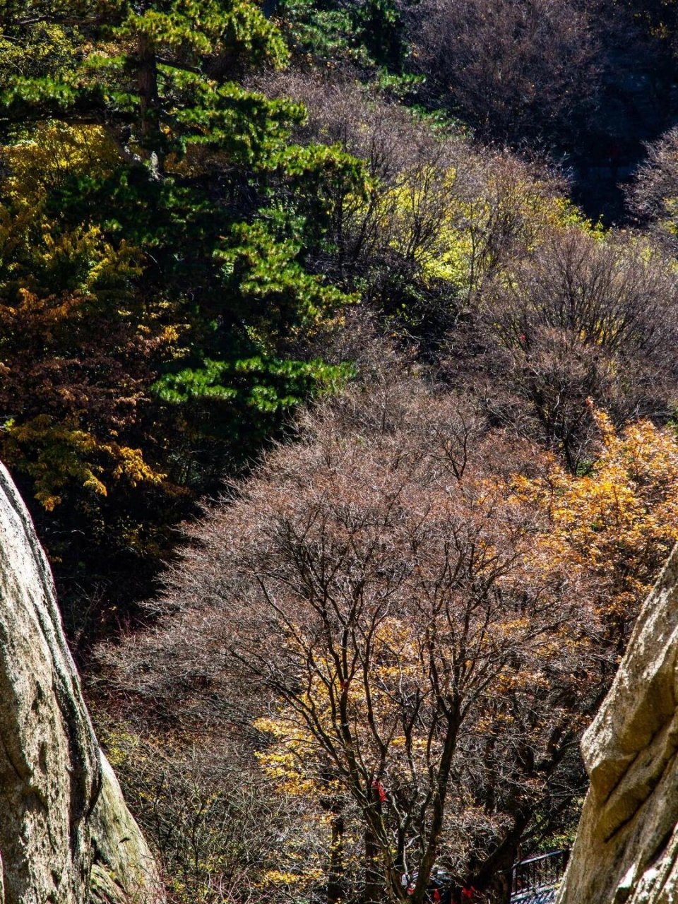 巍峨挺拔图片