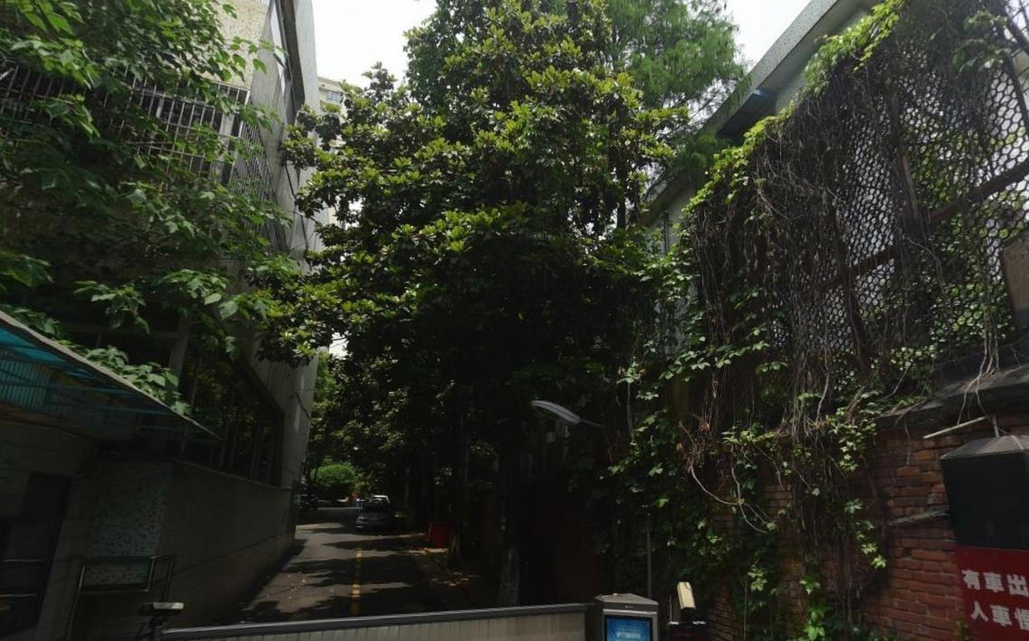 武汉地铁4号线东亭站东侧,武汉医药设计院后面