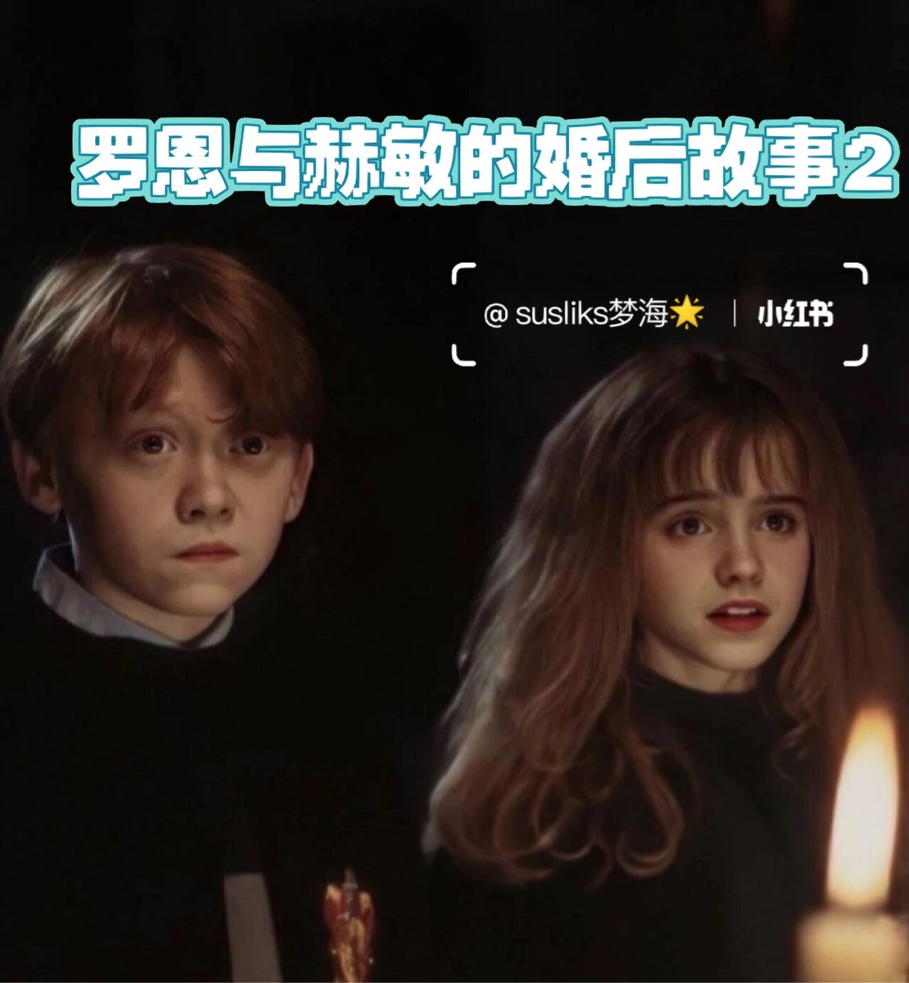 罗恩与赫敏的婚后故事2
