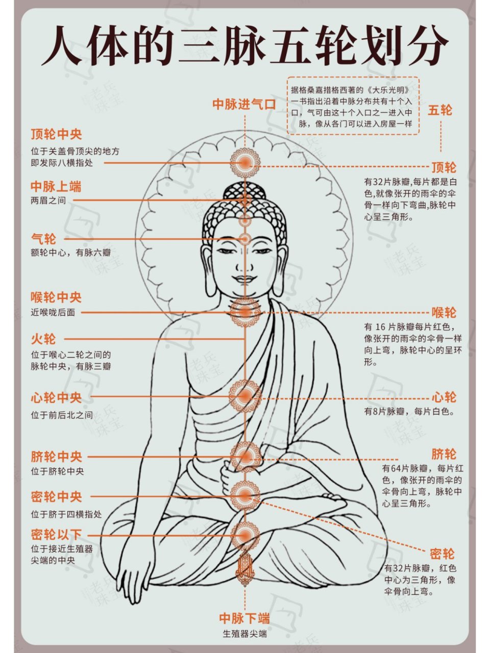 如何划分脉轮|人体的三脉五轮,基础必看 人体脉轮是印度教,藏传佛教等