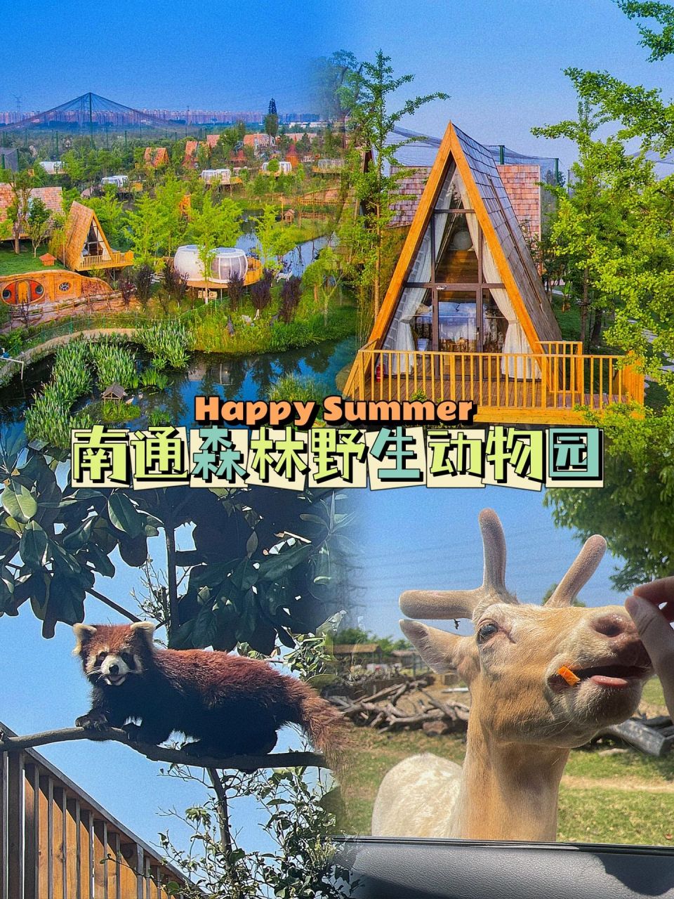 打卡南通森林野生動物園|保姆級攻略6015 00名字:南通森林野生