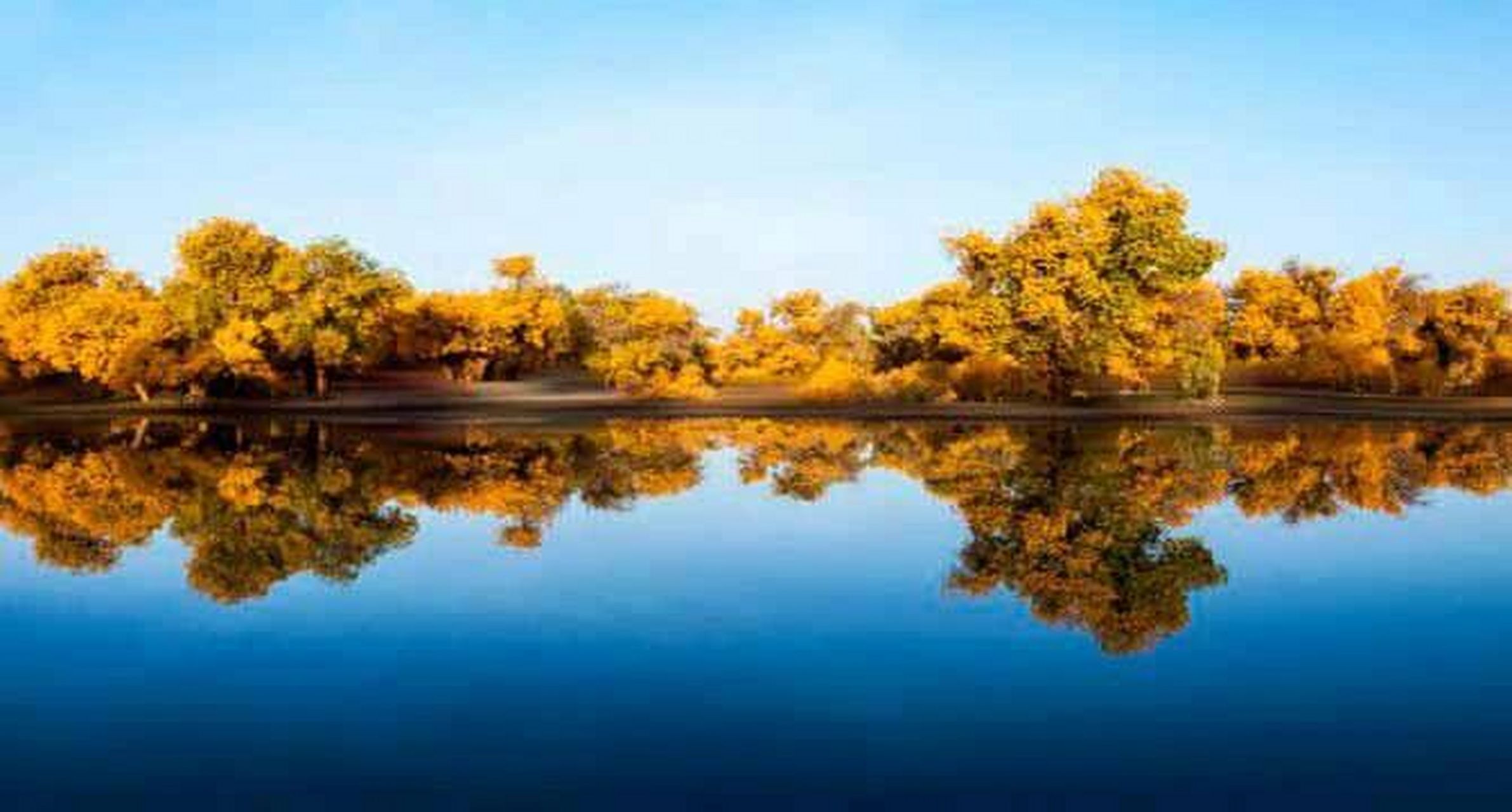 胡杨林旅游景区 胡杨林旅游景区位于内蒙古自治区最西端的阿拉善盟