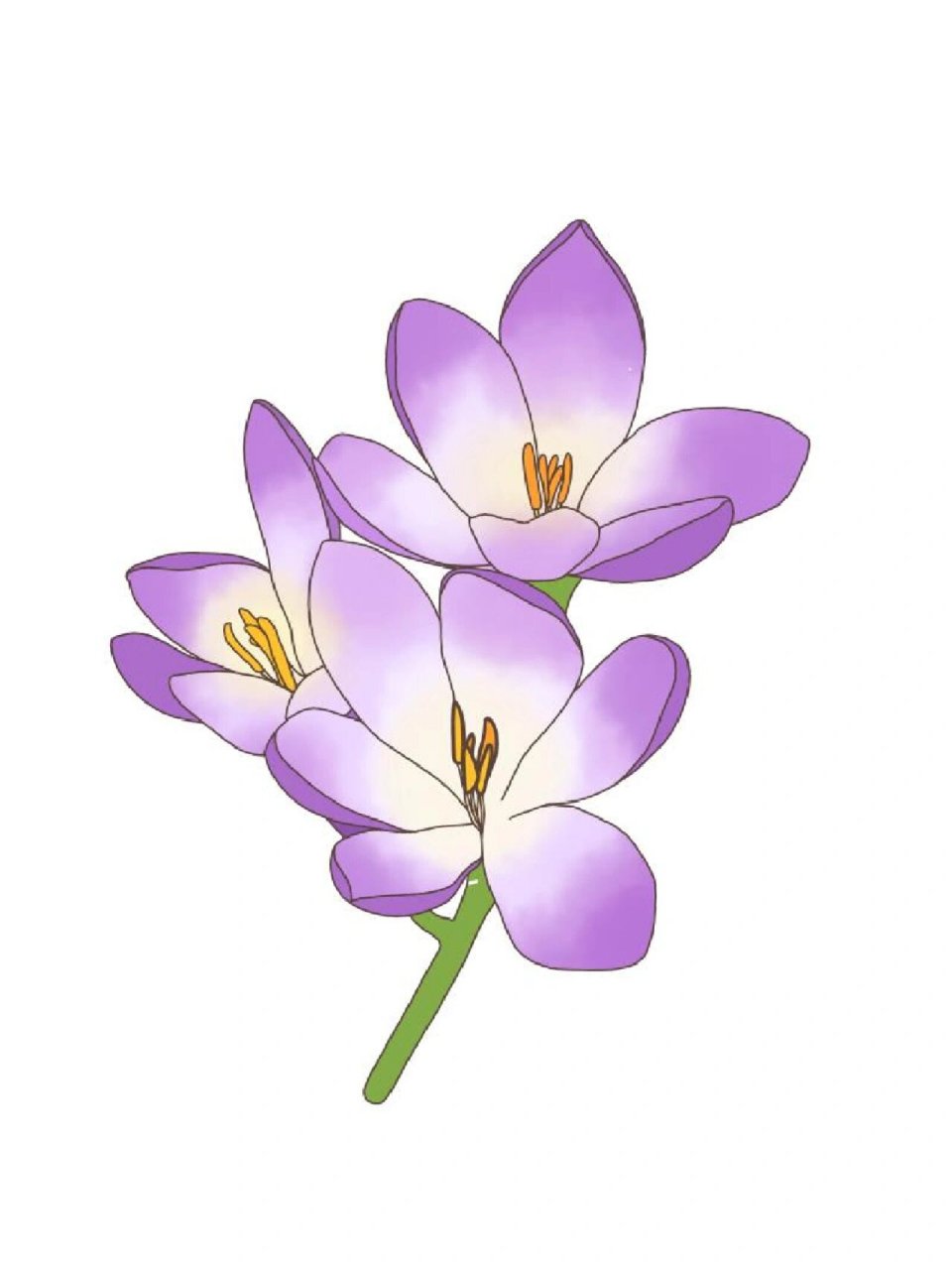 花卉简笔画‖中国风绘画,你能认出多少花?