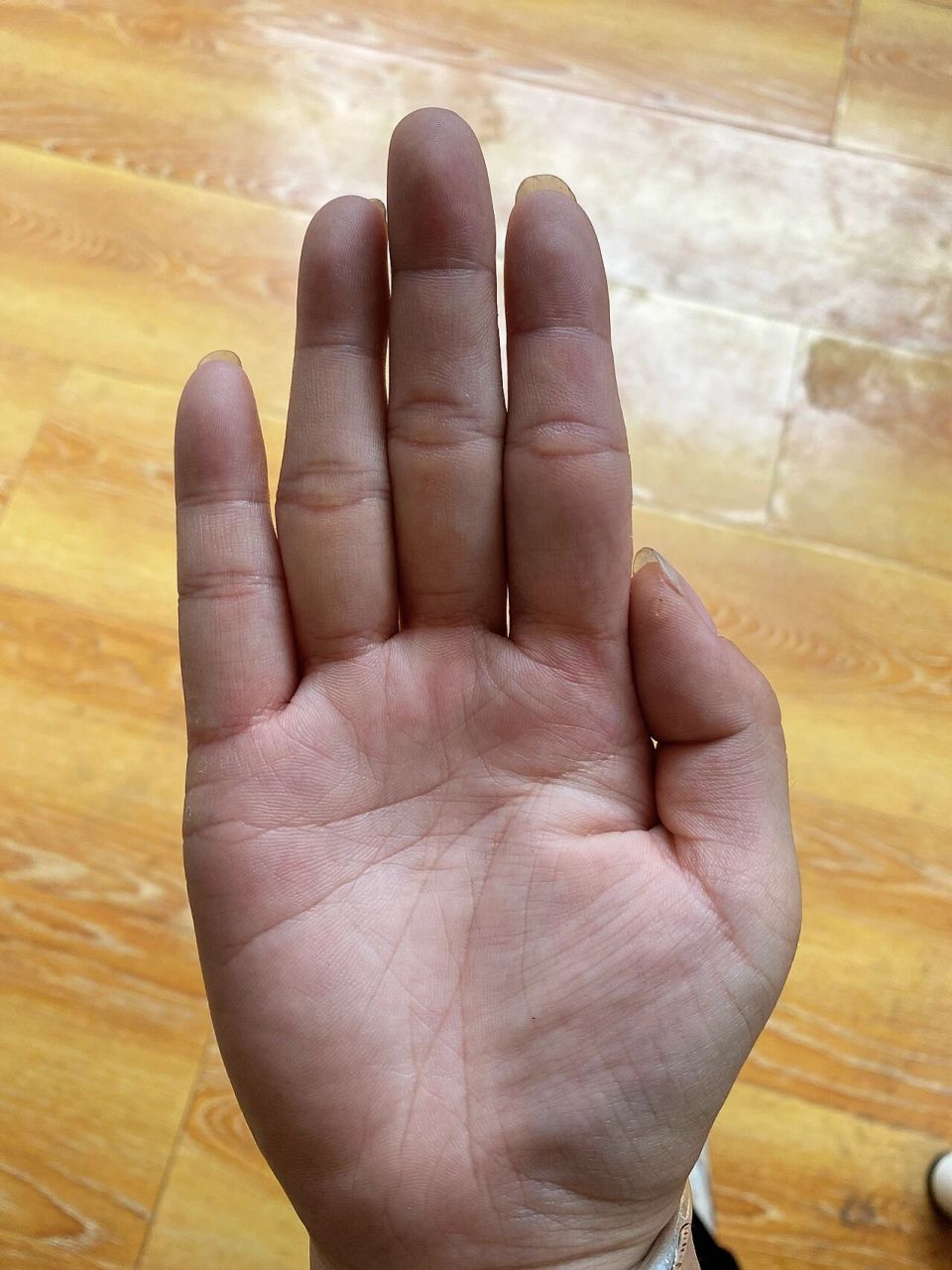 掌纹为啥四条线 有懂的可以指点下的吗